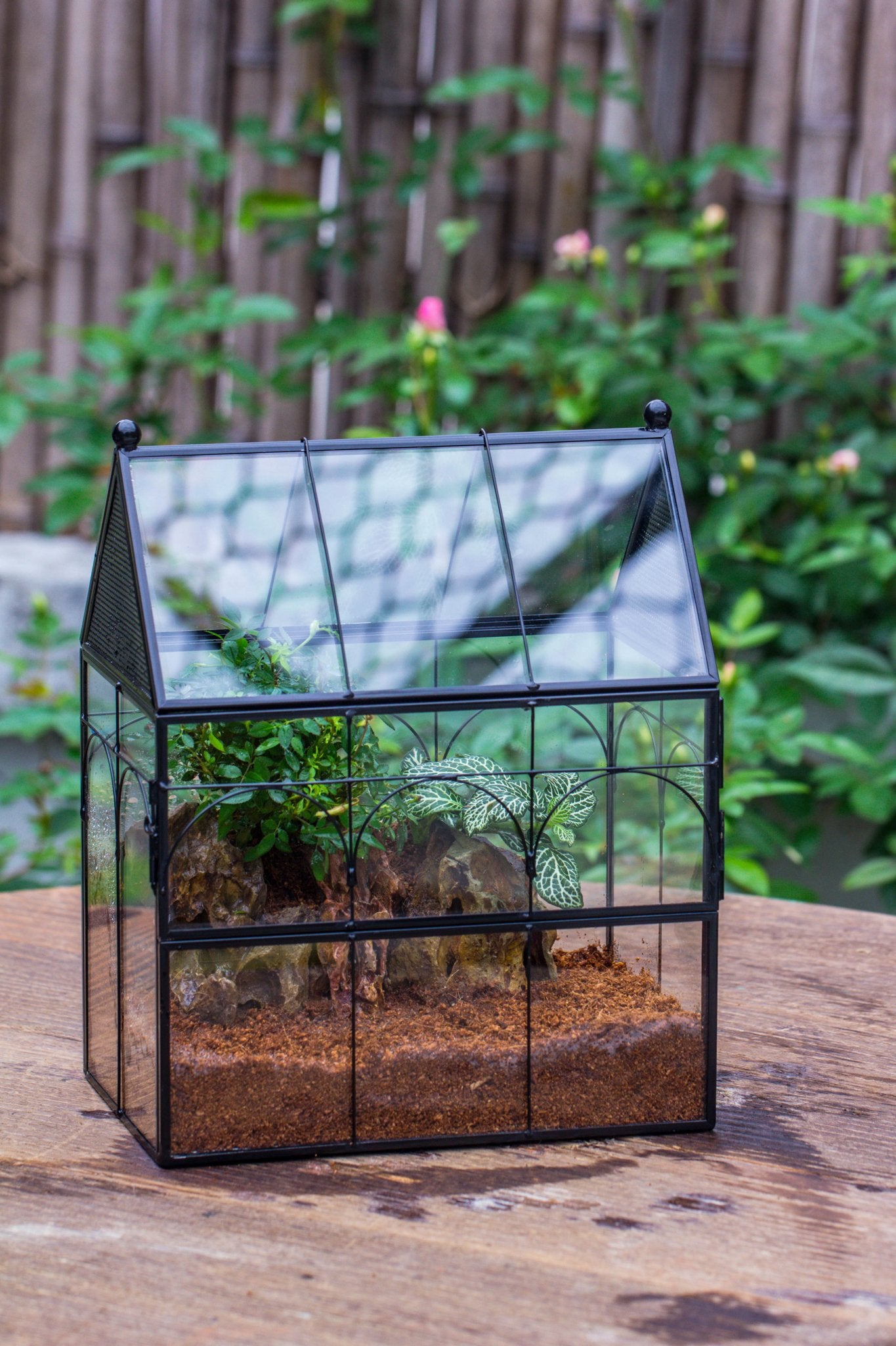 NCYP Vintage House Shape Glass Geometric Terrarium building set, with side door, with Mesh / vent holes for Insects Pet - NCYPgarden