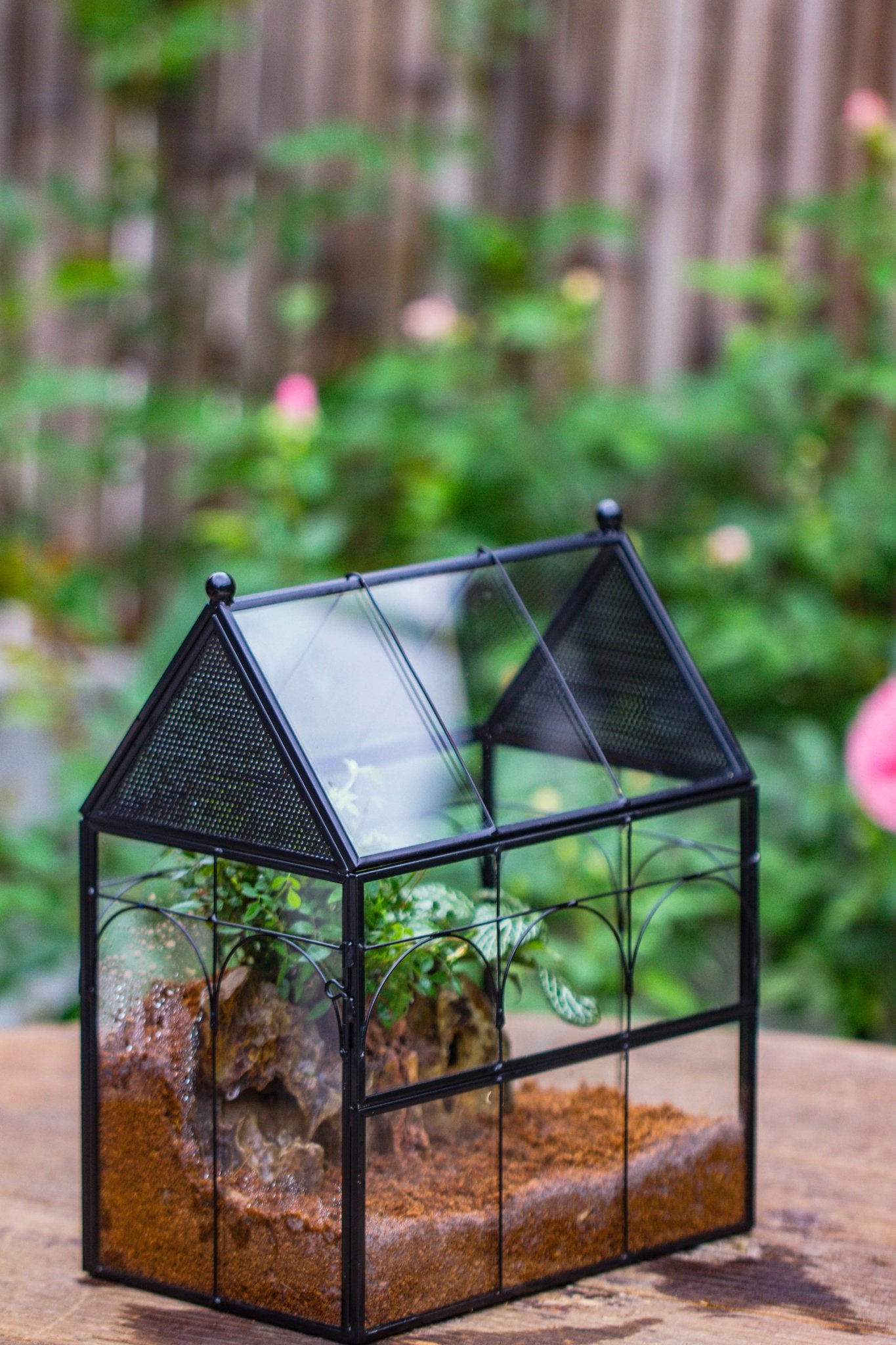 NCYP Vintage House Shape Glass Geometric Terrarium building set, with side door, with Mesh / vent holes for Insects Pet - NCYPgarden