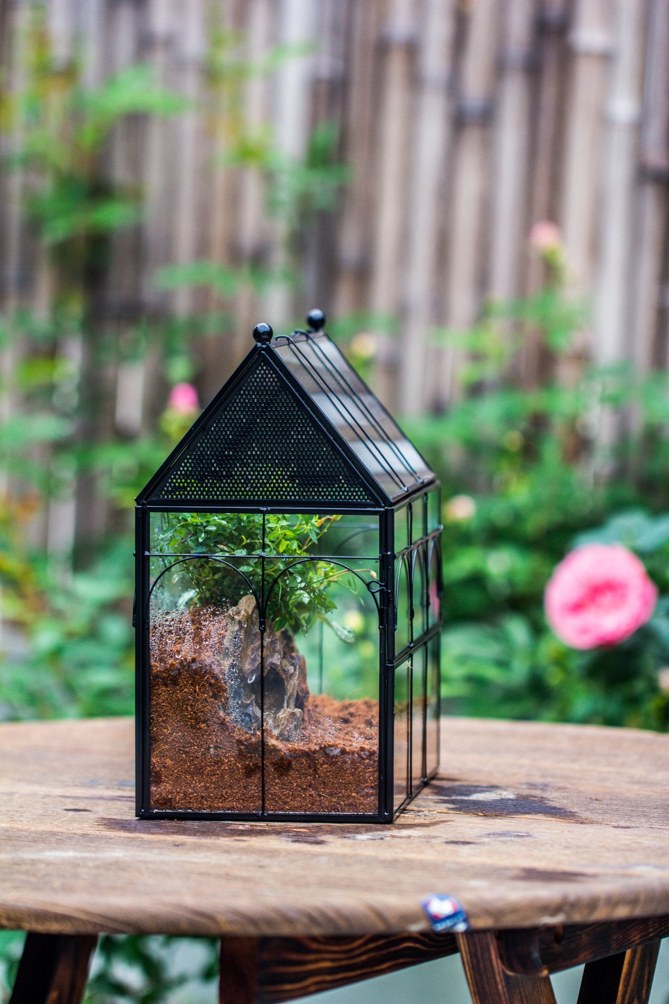 NCYP Vintage House Shape Glass Geometric Terrarium building set, with side door, with Mesh / vent holes for Insects Pet - NCYPgarden