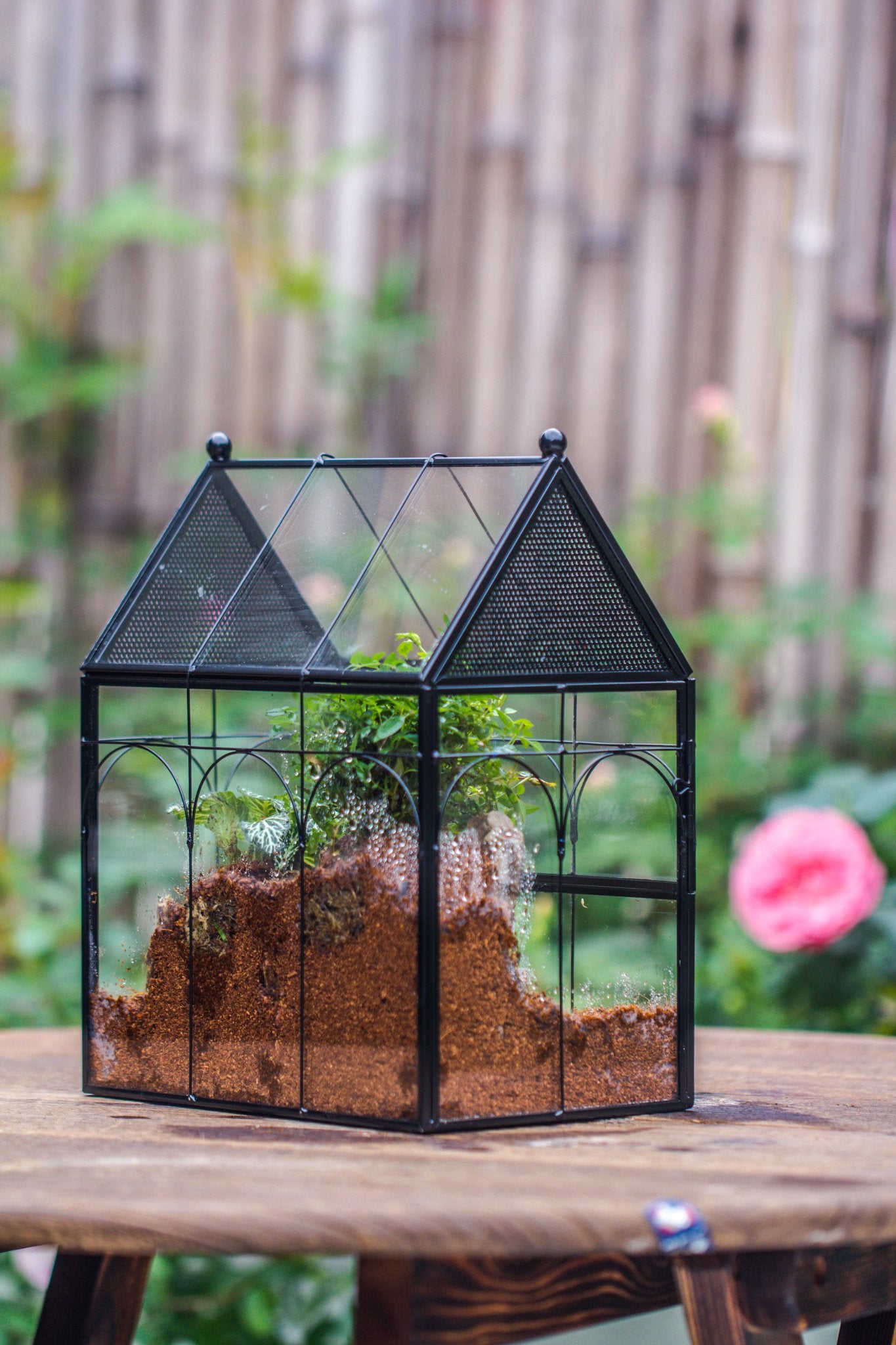 NCYP Vintage House Shape Glass Geometric Terrarium building set, with side door, with Mesh / vent holes for Insects Pet - NCYPgarden