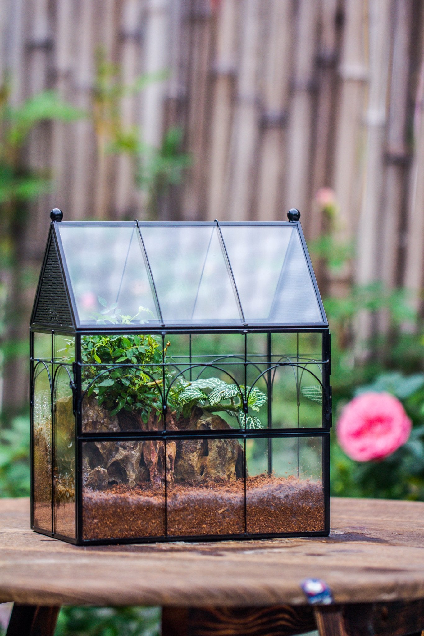 NCYP Vintage House Shape Glass Geometric Terrarium building set, with side door, with Mesh / vent holes for Insects Pet - NCYPgarden