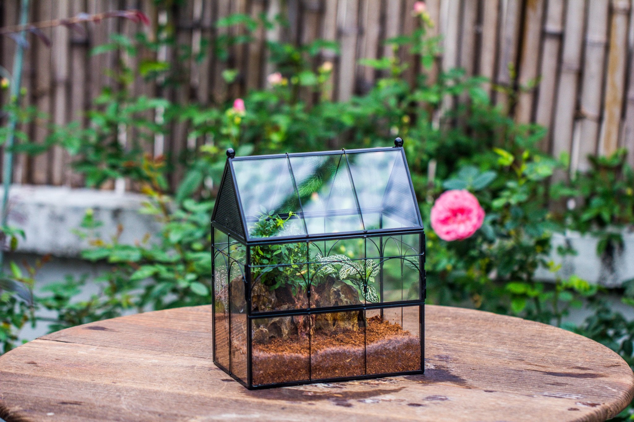 NCYP Vintage House Shape Glass Geometric Terrarium building set, with side door, with Mesh / vent holes for Insects Pet - NCYPgarden