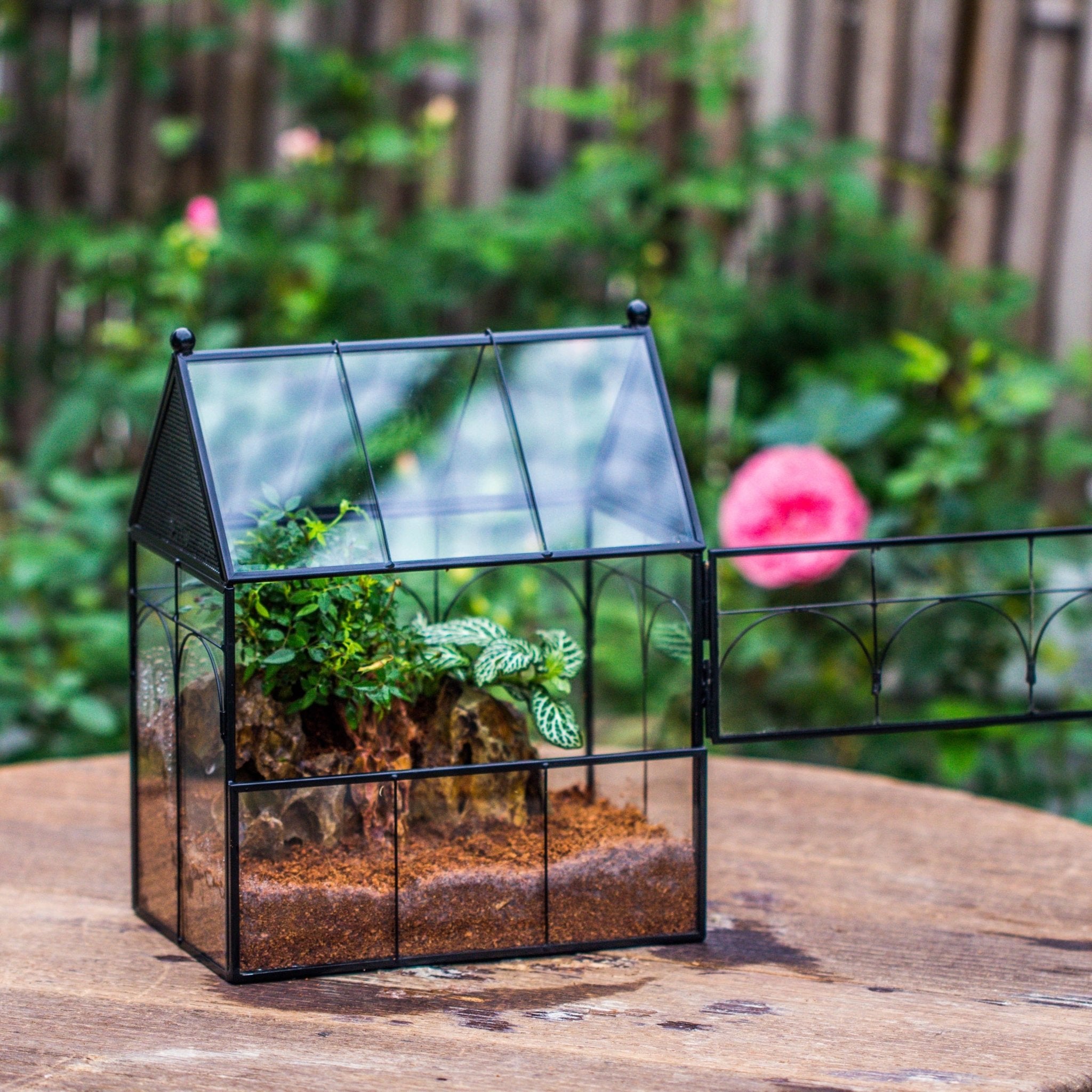 NCYP Vintage House Shape Glass Geometric Terrarium building set, with side door, with Mesh / vent holes for Insects Pet - NCYPgarden