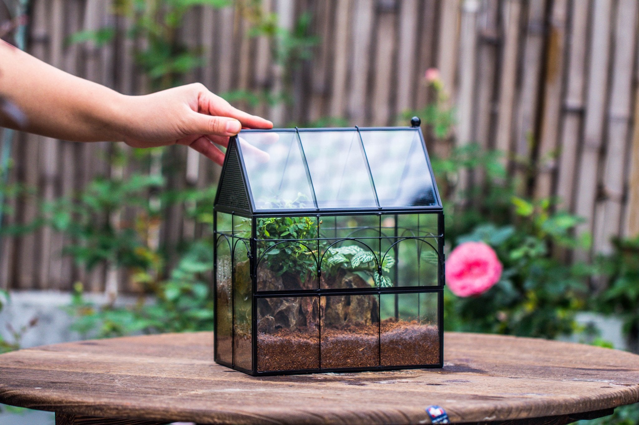 NCYP Vintage House Shape Glass Geometric Terrarium building set, with side door, with Mesh / vent holes for Insects Pet - NCYPgarden