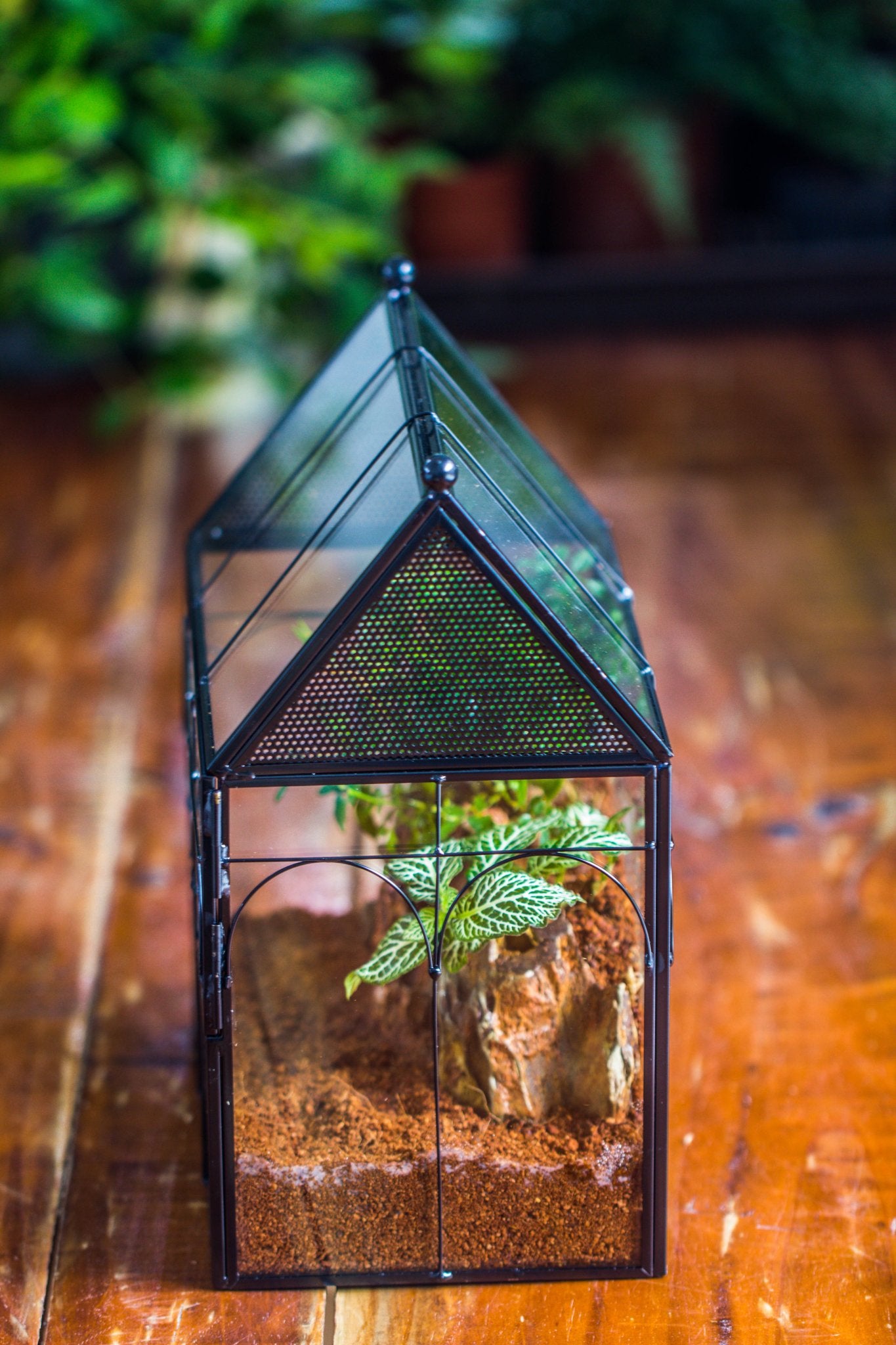 NCYP Vintage House Shape Glass Geometric Terrarium building set, with side door, with Mesh / vent holes for Insects Pet - NCYPgarden