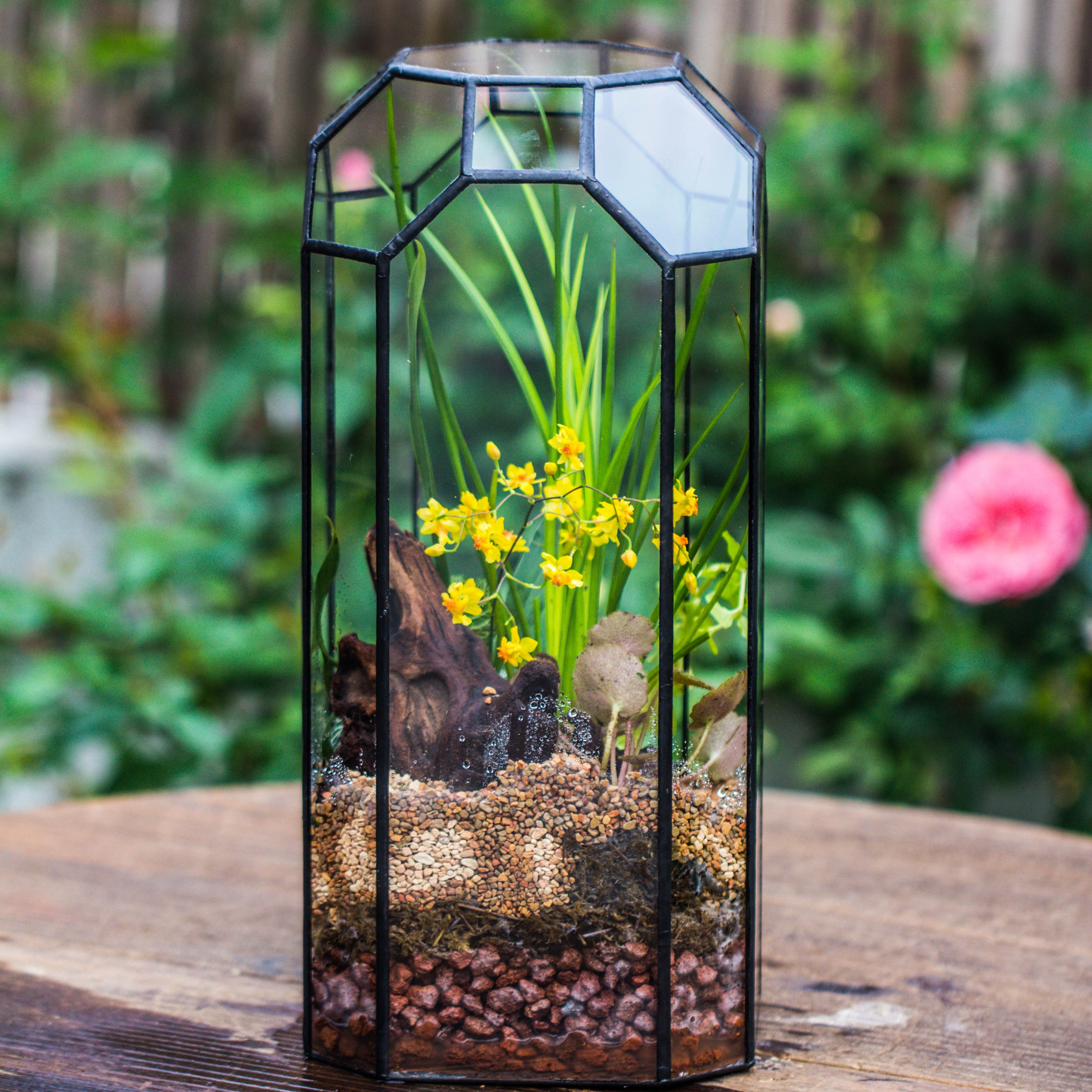 Vintage Tall Octagon Geometric Tin Glass Terrarium , 12.6" , open, suitable for tall plants, orchid, small begonia Pitcher, Micro landscape - NCYPgarden