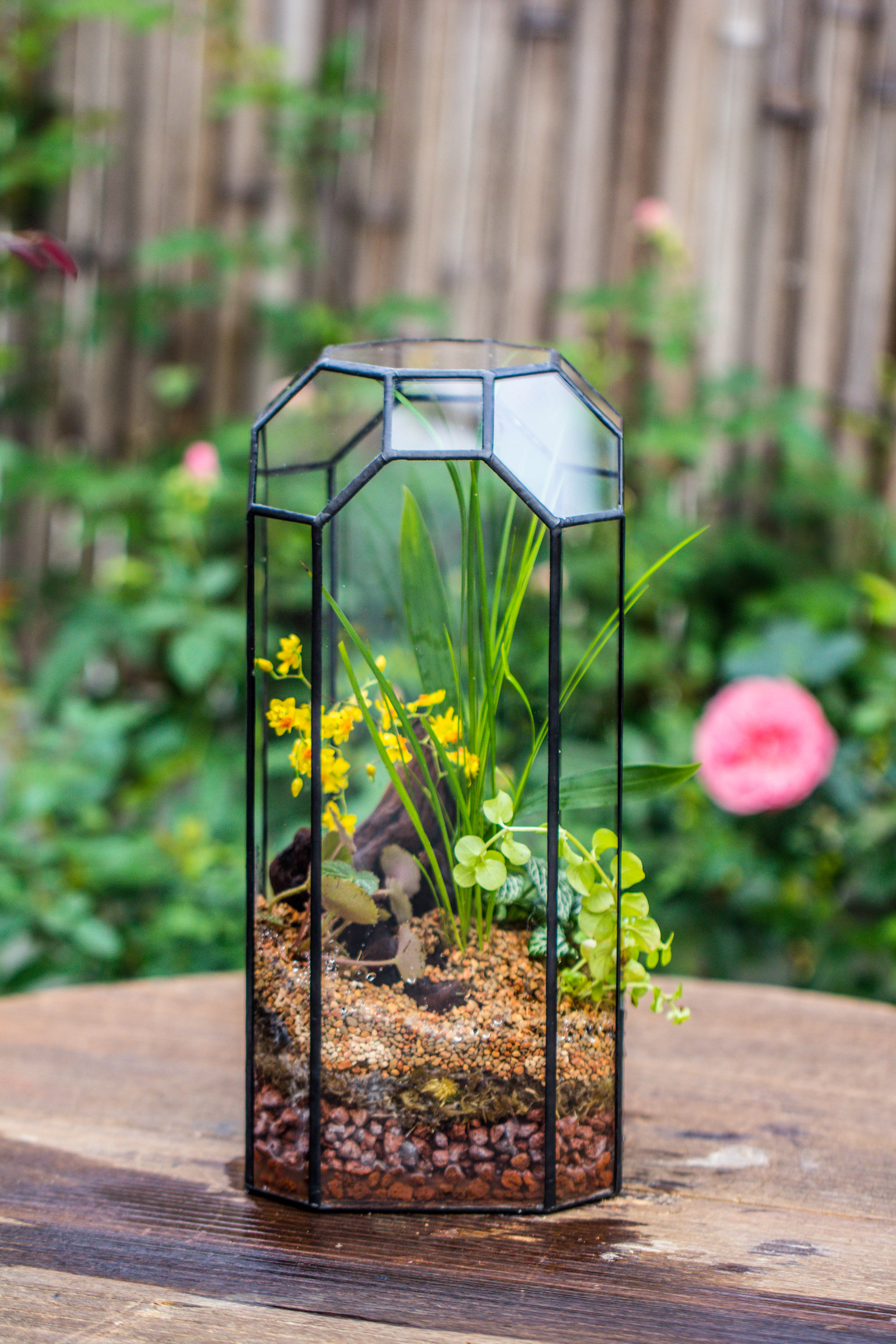 Vintage Tall Octagon Geometric Tin Glass Terrarium , 12.6" , open, suitable for tall plants, orchid, small begonia Pitcher, Micro landscape   -with warm light set - NCYPgarden