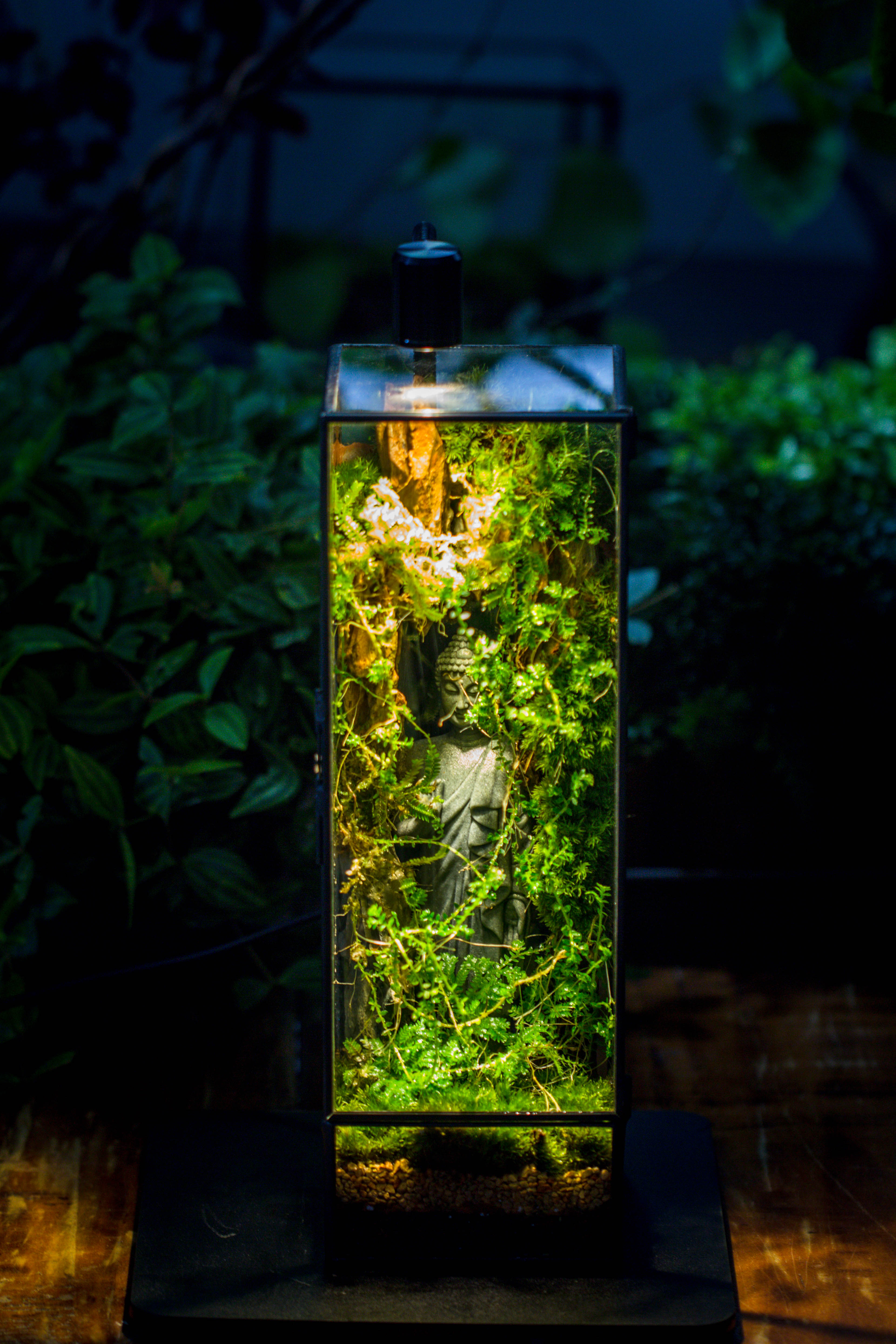 NCYP Close 11.8" Tall Geometric Glass Terrarium with Door DIY set, with Buddha, Dragon rocks, Planting Materials - NCYPgarden