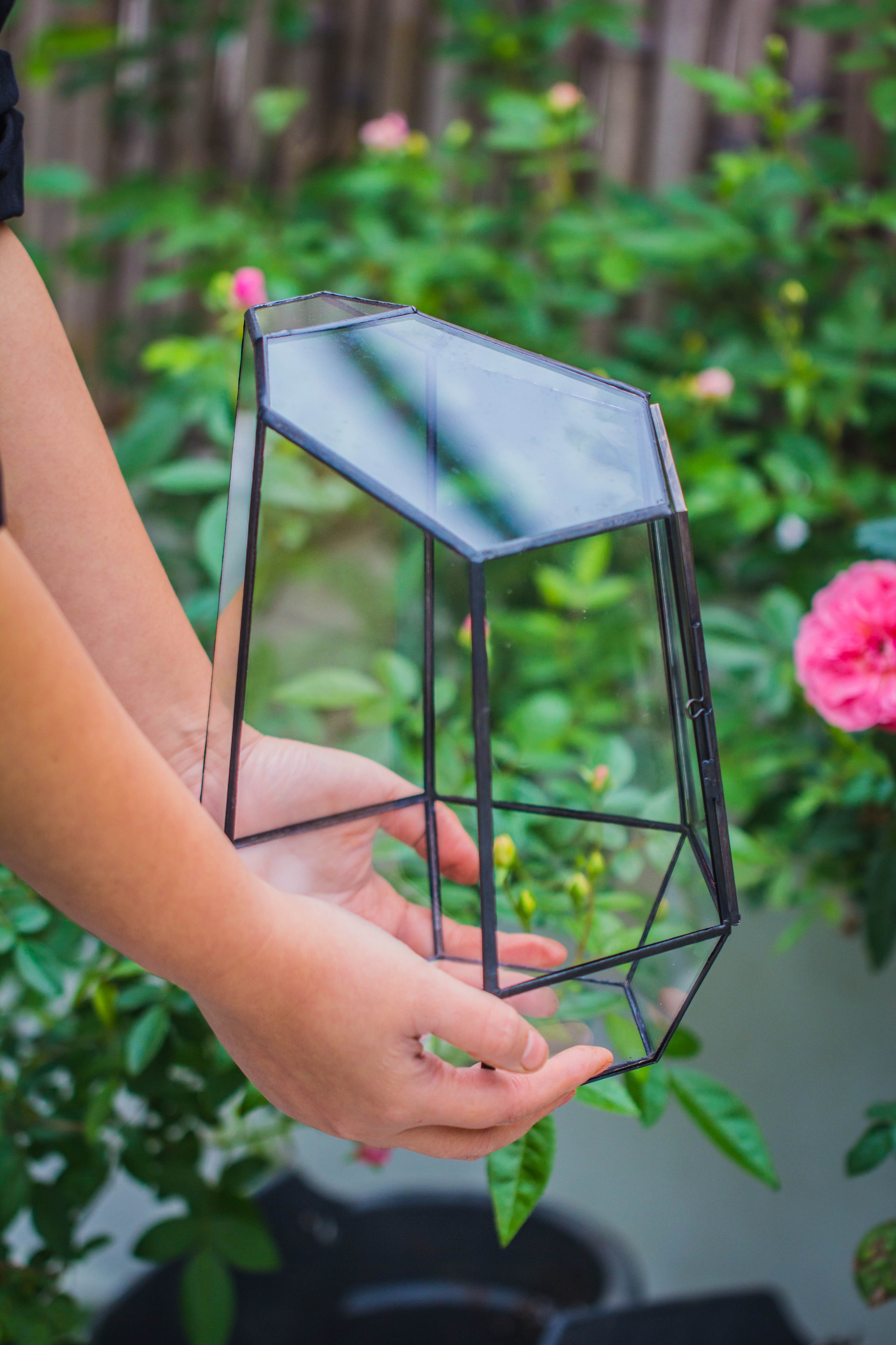 Rainforest terrarium project: Live Moss Wall Iregular Terrarium Building Kit with matching LED Grow Light and Base - NCYPgarden