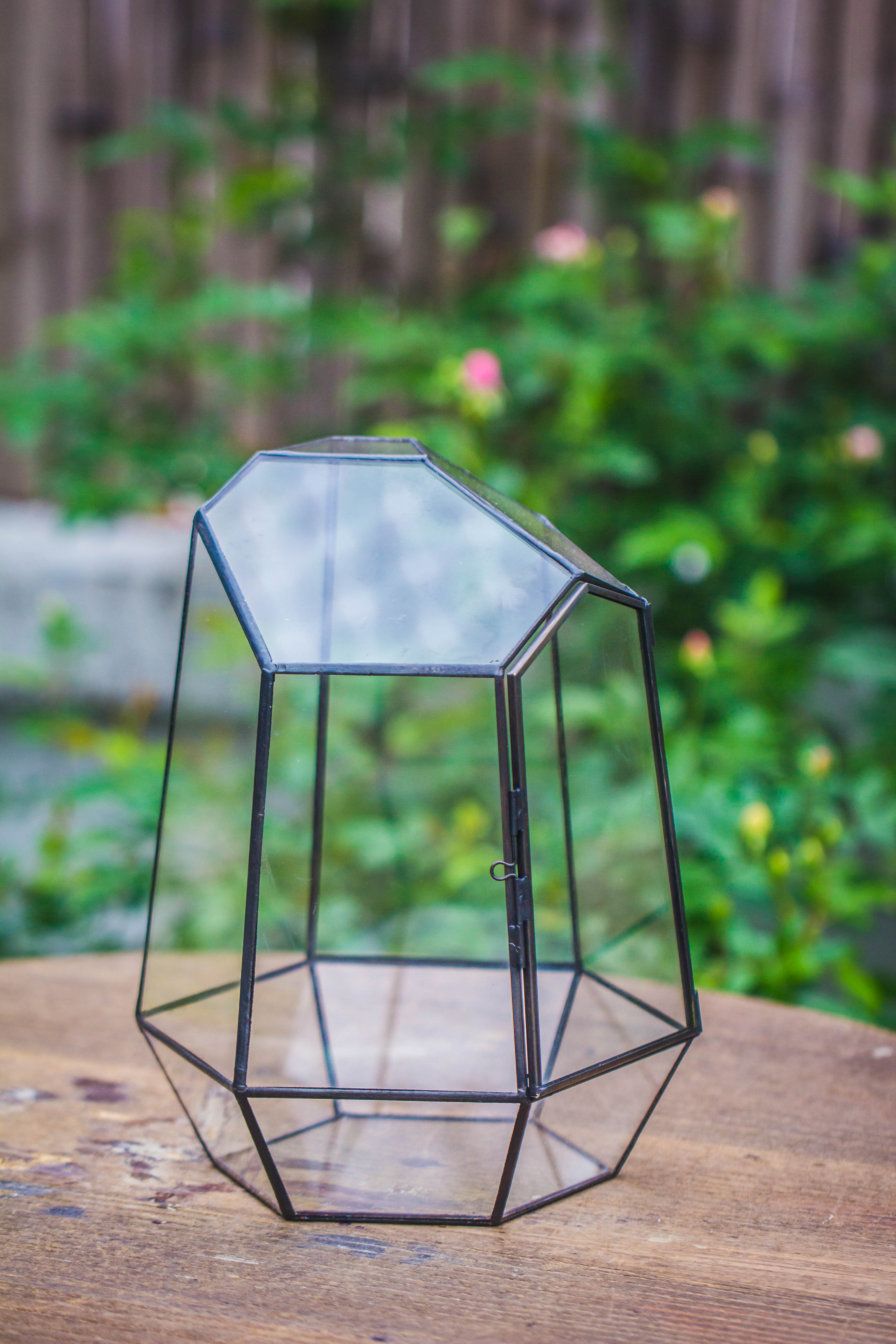 Rainforest terrarium project: Live Moss Wall Iregular Terrarium Building Kit with matching LED Grow Light and Base - NCYPgarden