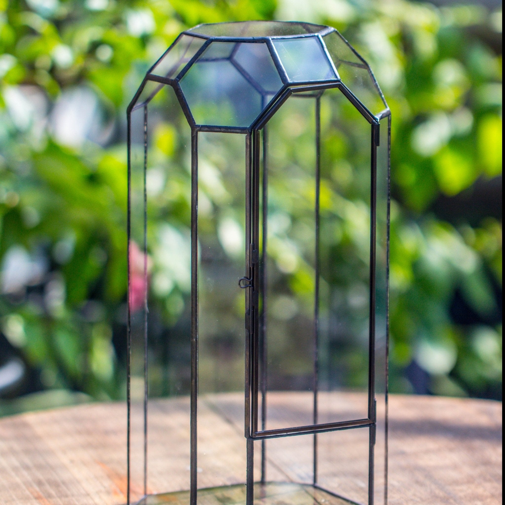 Vintage Tall Octagon Geometric Tin Glass Terrarium , 12.6" , close, suitable for tall plants, orchid, small begonia Pitcher, Micro landscape - with white light set - NCYPgarden