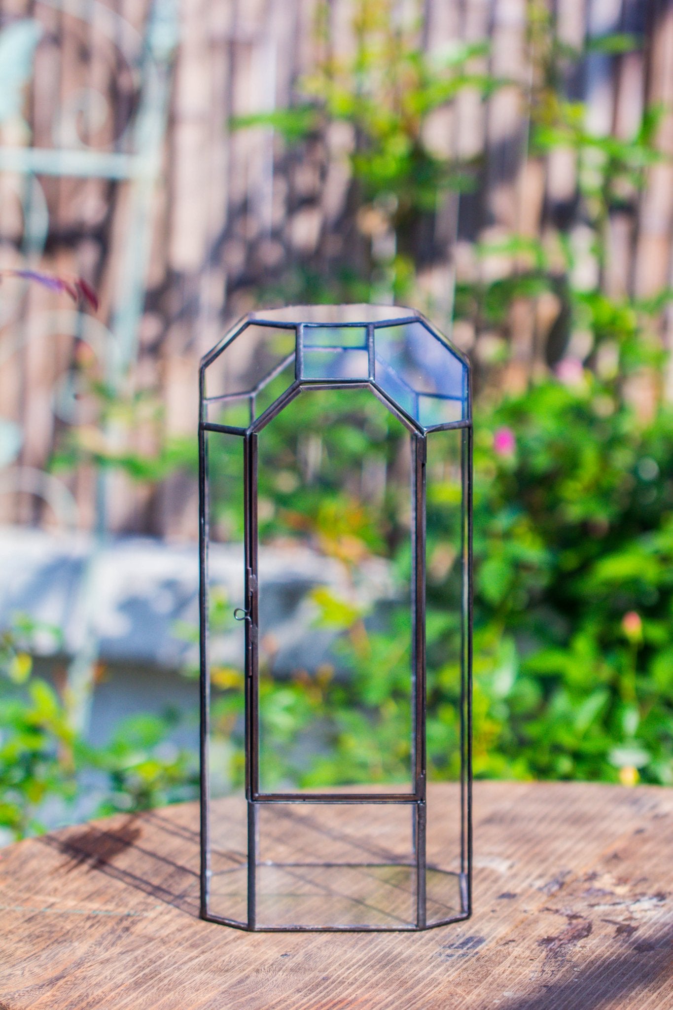 Vintage Tall Octagon Geometric Tin Glass Terrarium , 12.6" , close, suitable for tall plants, orchid, small begonia Pitcher, Micro landscape - with white light set - NCYPgarden