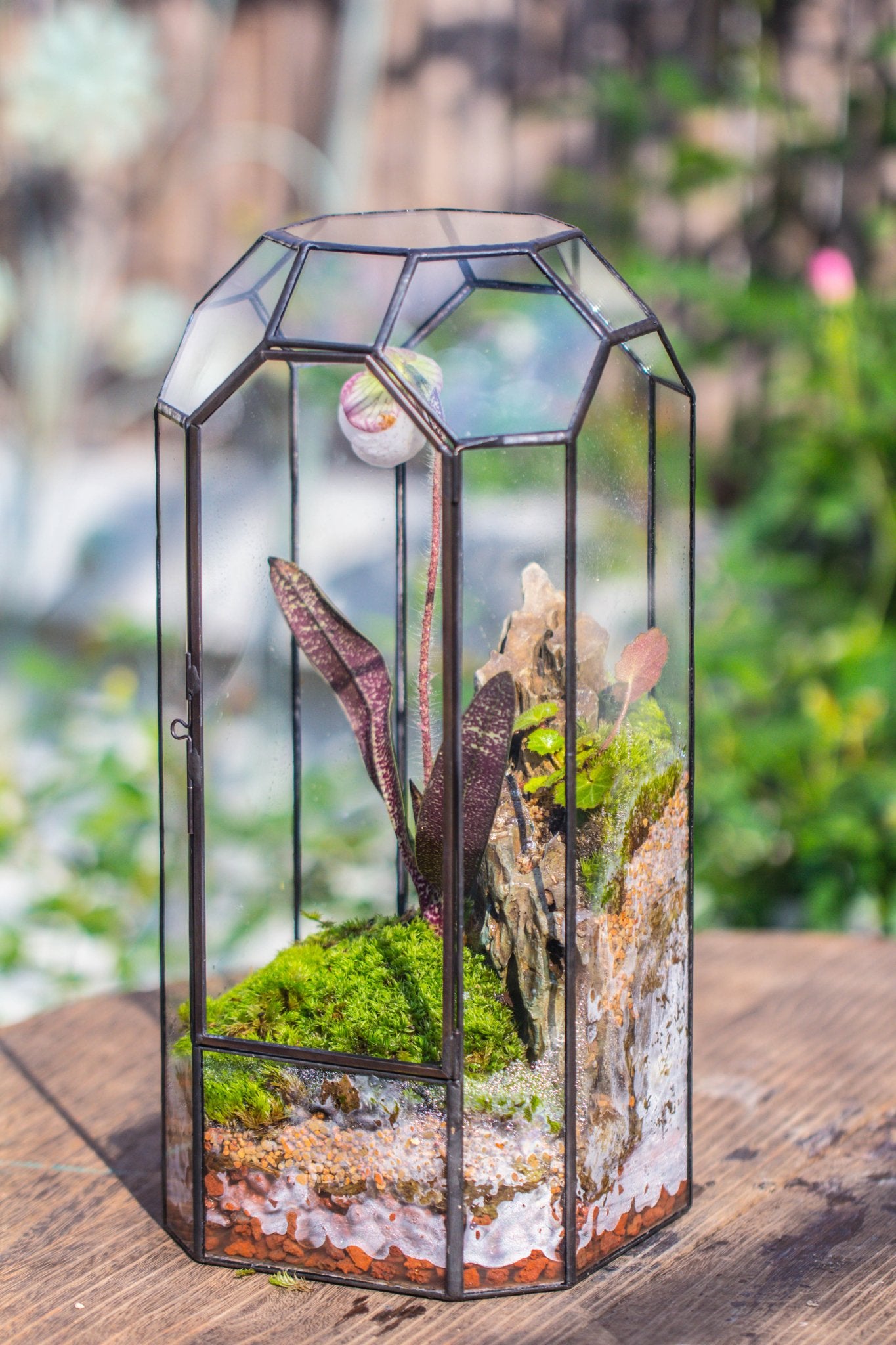 Vintage Tall Octagon Geometric Tin Glass Terrarium , 12.6" , close, suitable for tall plants, orchid, small begonia Pitcher, Micro landscape - with white light set - NCYPgarden