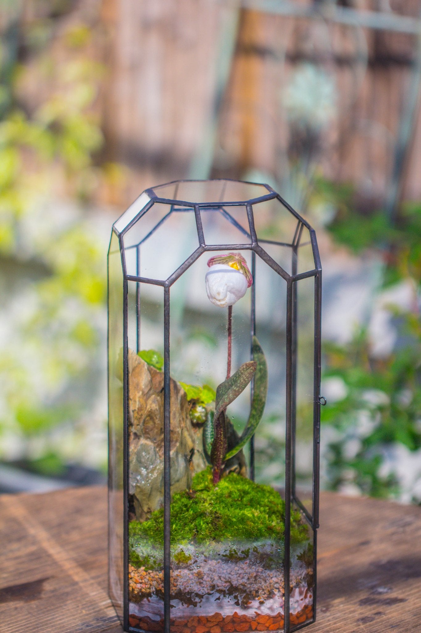 Vintage Tall Octagon Geometric Tin Glass Terrarium , 12.6" , close, suitable for tall plants, orchid, small begonia Pitcher, Micro landscape - with white light set - NCYPgarden