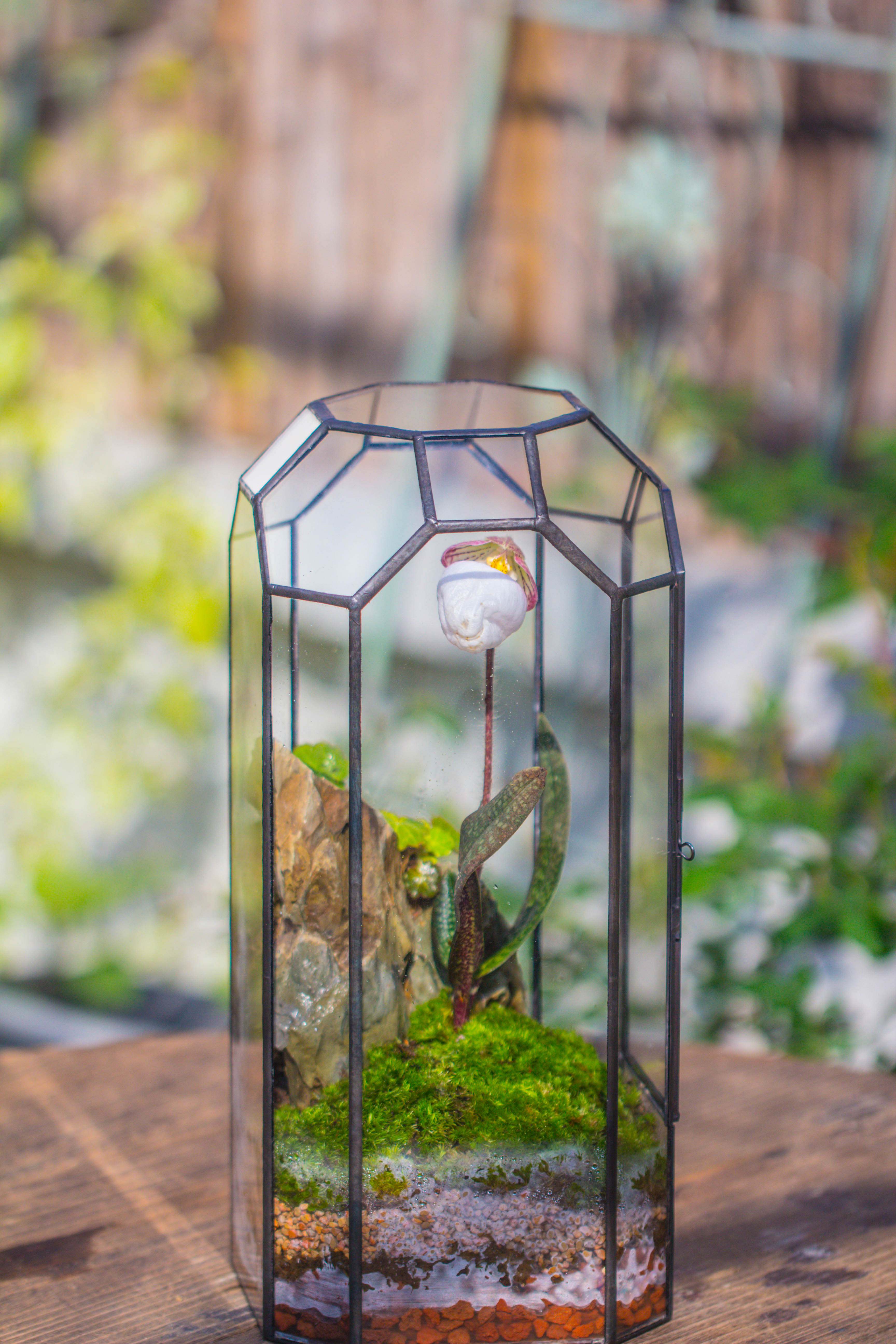 Vintage Tall Octagon Geometric Tin Glass Terrarium , 12.6" , close, suitable for tall plants, orchid, small begonia Pitcher, Micro landscape    -with warm light set - NCYPgarden