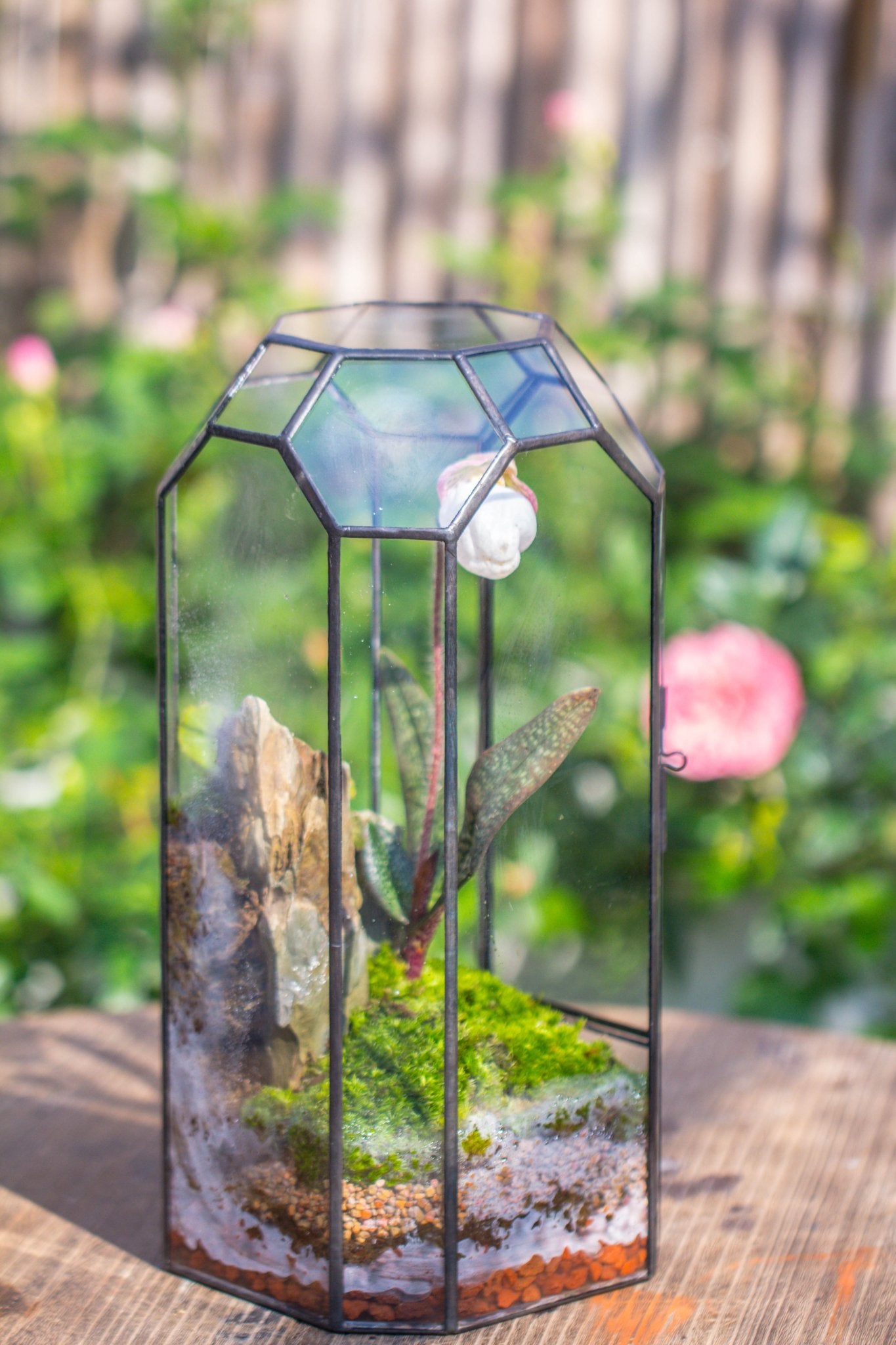 Vintage Tall Octagon Geometric Tin Glass Terrarium , 12.6" , close, suitable for tall plants, orchid, small begonia Pitcher, Micro landscape - with white light set - NCYPgarden