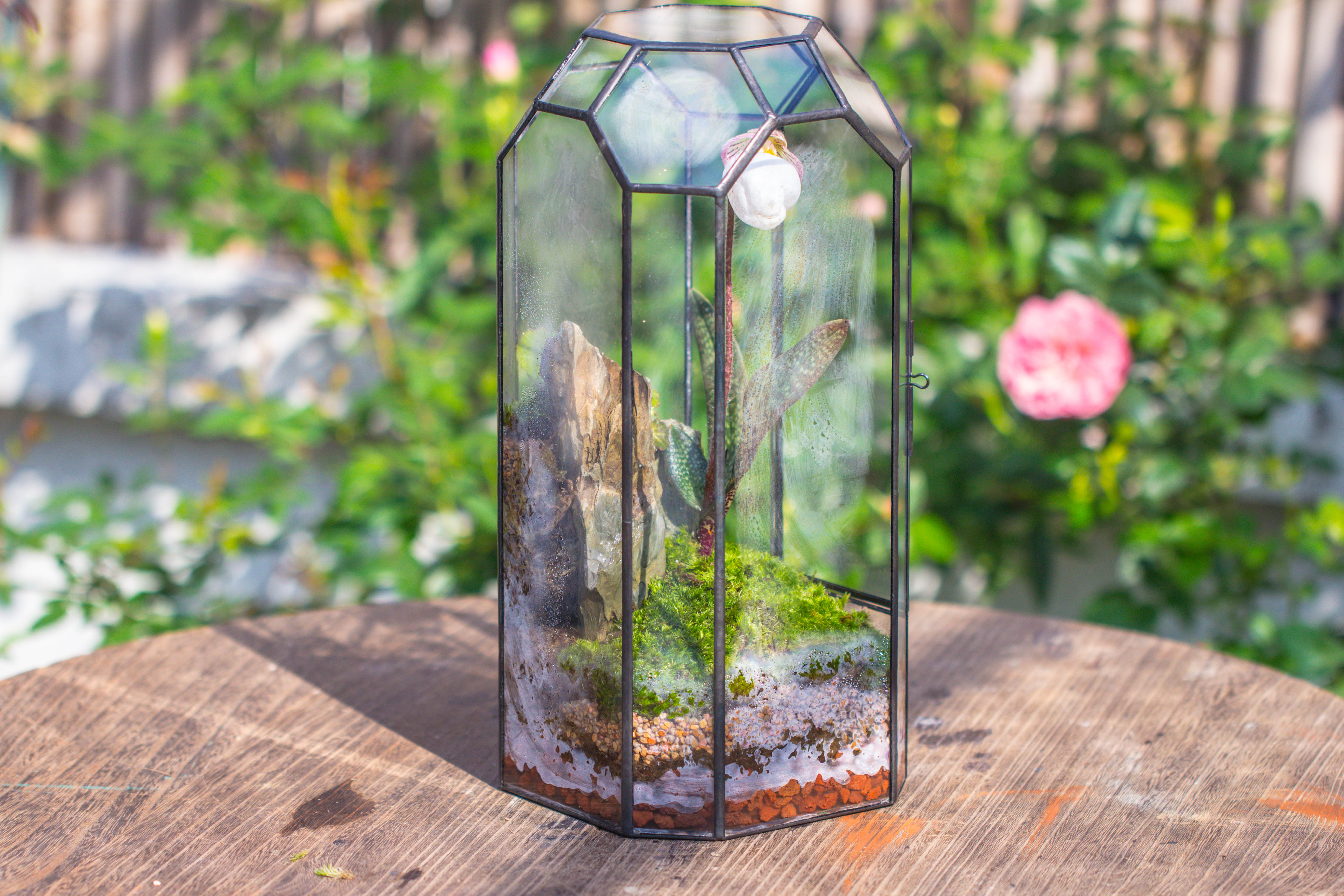 Vintage Tall Octagon Geometric Tin Glass Terrarium , 12.6" , close, suitable for tall plants, orchid, small begonia Pitcher, Micro landscape    -with warm light set - NCYPgarden