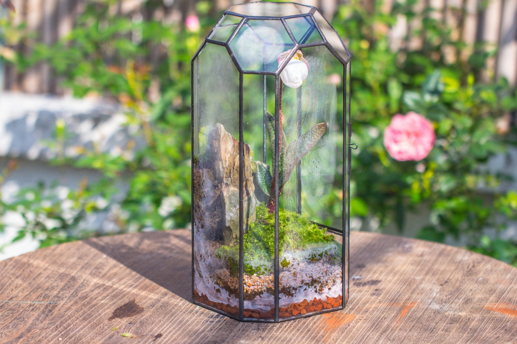 Vintage Tall Octagon Geometric Tin Glass Terrarium , 12.6" , close, suitable for tall plants, orchid, small begonia Pitcher, Micro landscape - with white light set - NCYPgarden