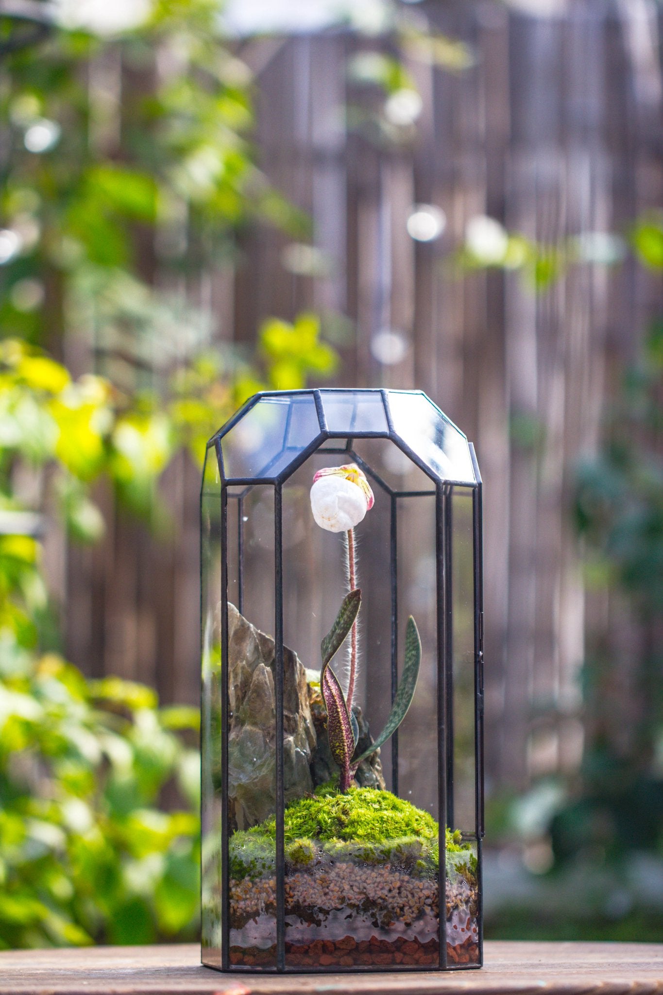 Vintage Tall Octagon Geometric Tin Glass Terrarium , 12.6" , close, suitable for tall plants, orchid, small begonia Pitcher, Micro landscape PG05B2 - NCYPgarden