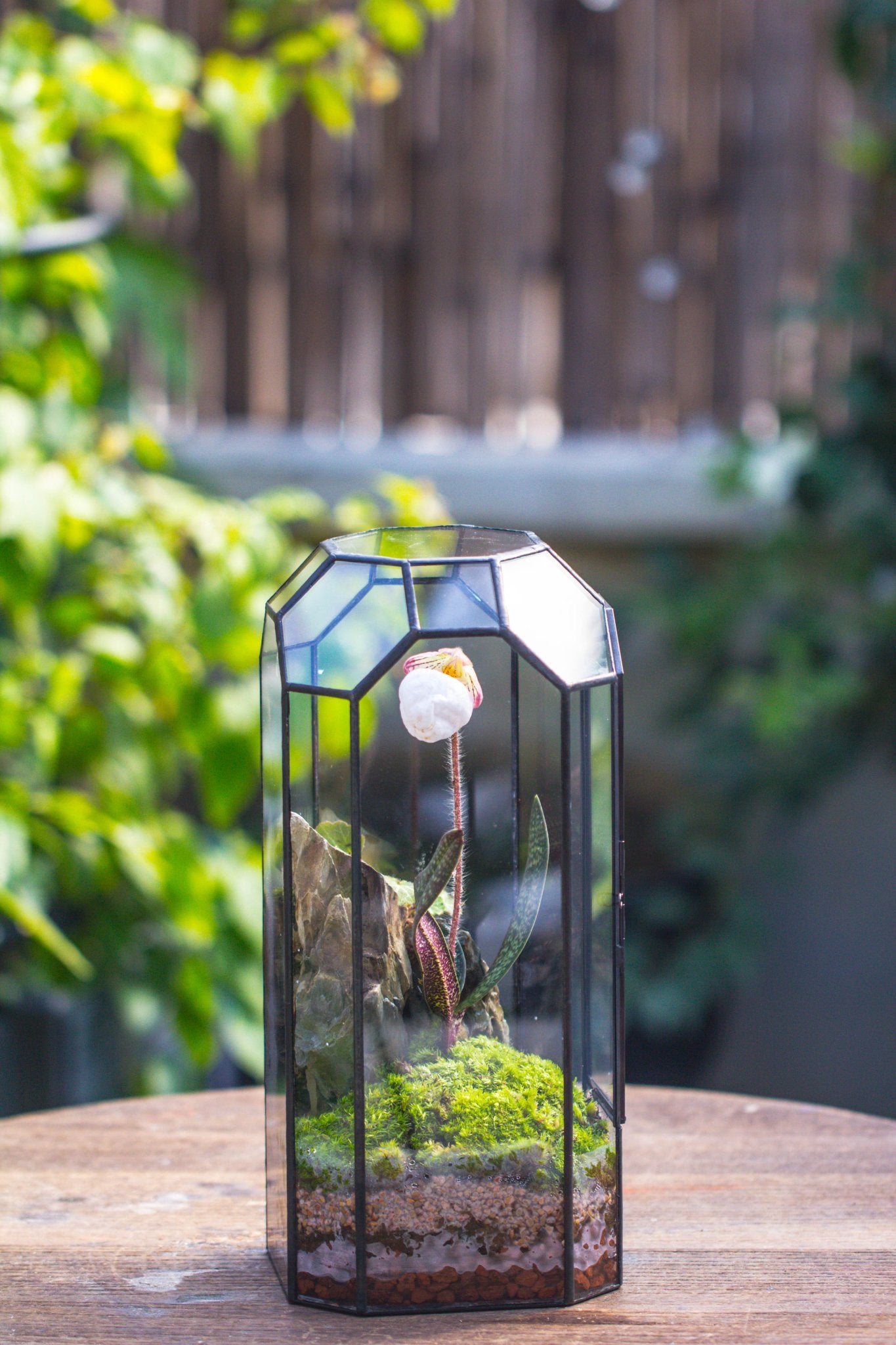 Vintage Tall Octagon Geometric Tin Glass Terrarium , 12.6" , close, suitable for tall plants, orchid, small begonia Pitcher, Micro landscape - with white light set - NCYPgarden