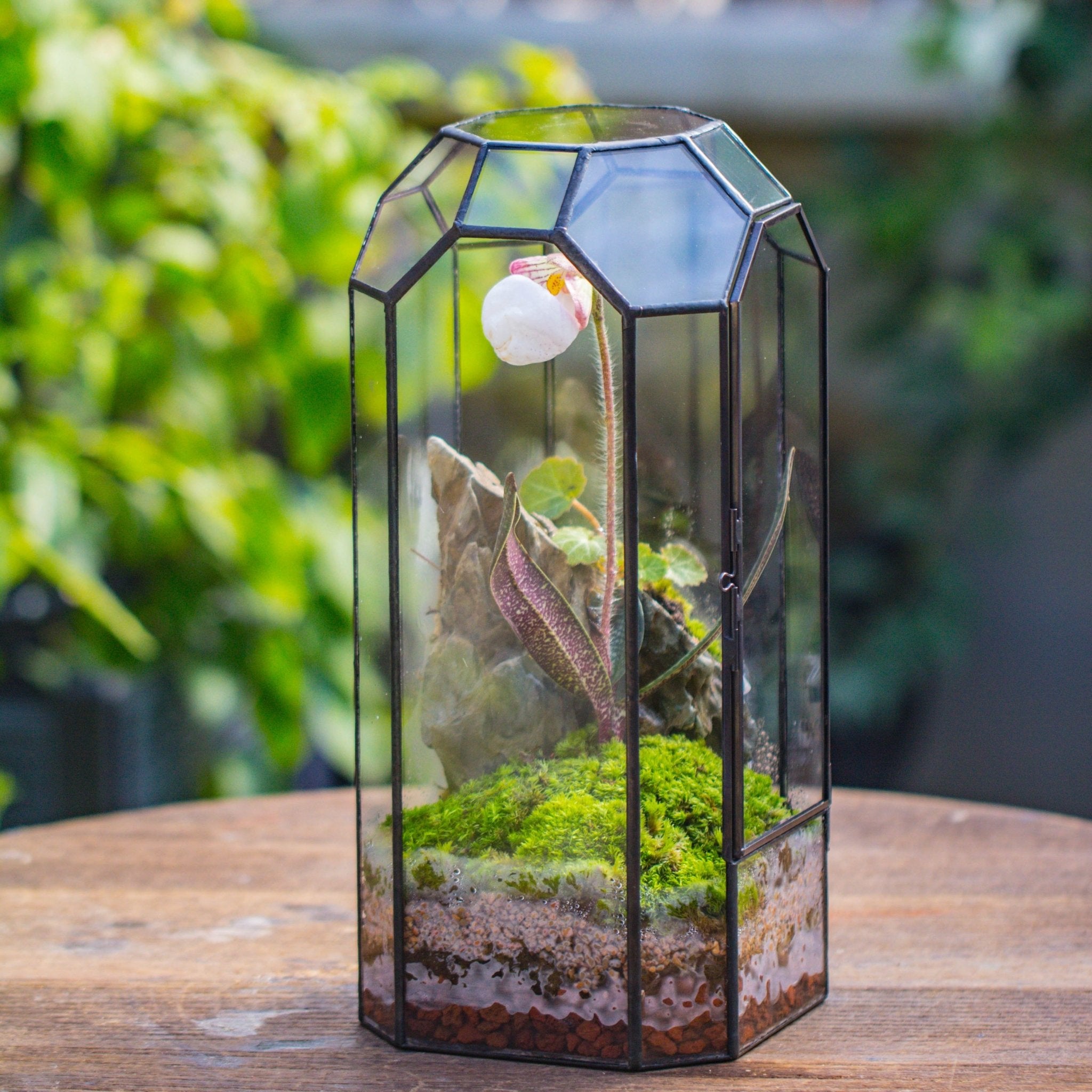 Vintage Tall Octagon Geometric Tin Glass Terrarium , 12.6" , close, suitable for tall plants, orchid, small begonia Pitcher, Micro landscape PG05B2 - NCYPgarden