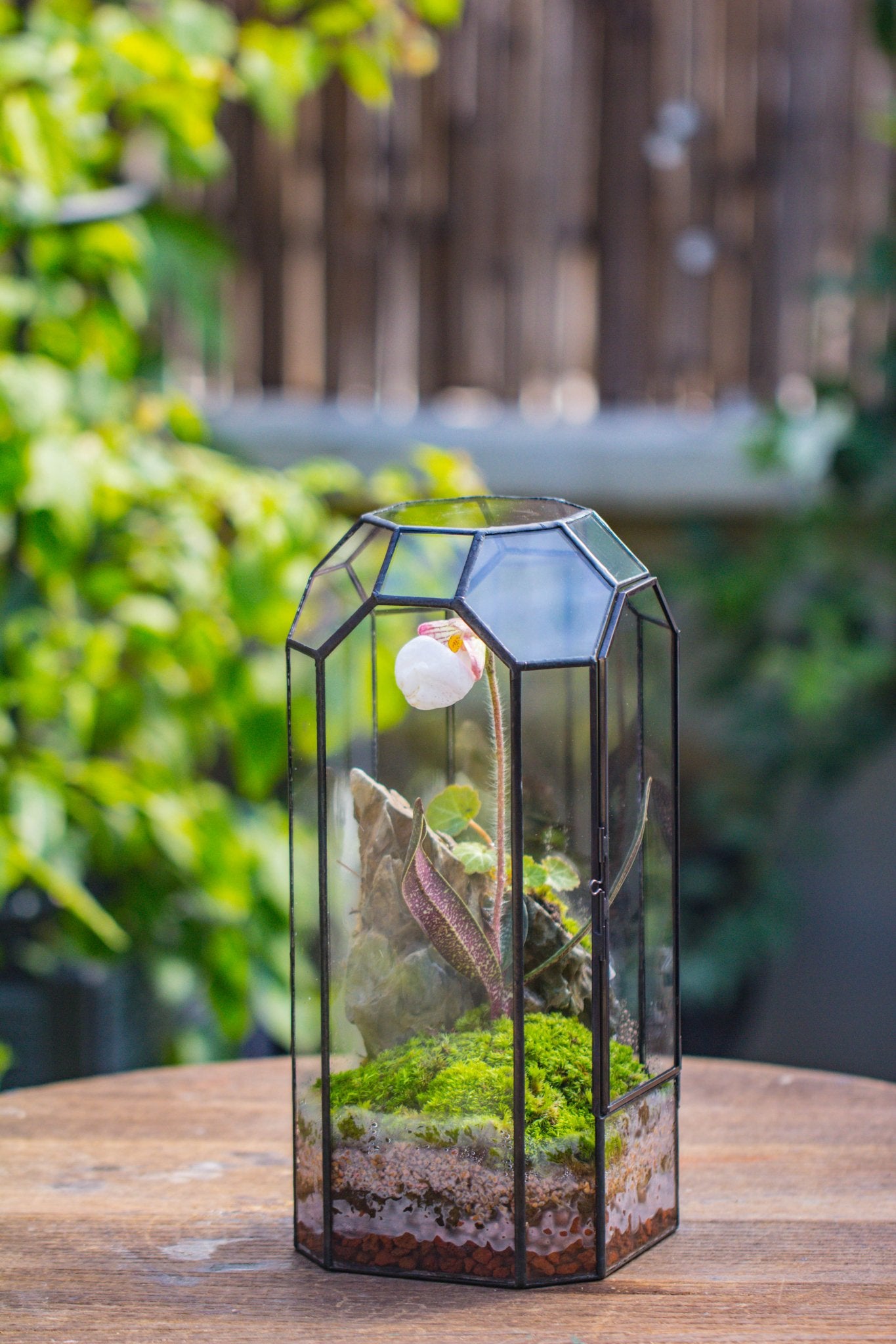 Vintage Tall Octagon Geometric Tin Glass Terrarium , 12.6" , close, suitable for tall plants, orchid, small begonia Pitcher, Micro landscape - with white light set - NCYPgarden