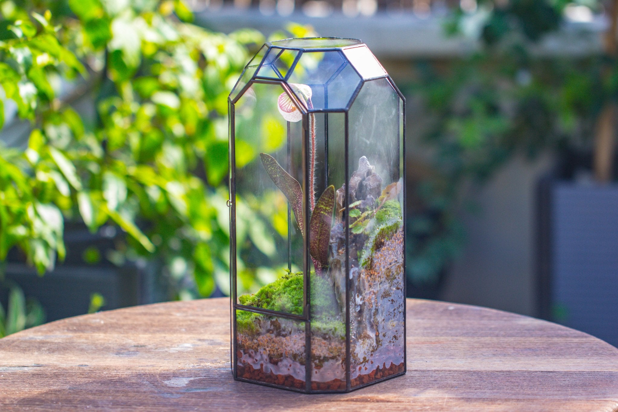 Vintage Tall Octagon Geometric Tin Glass Terrarium , 12.6" , close, suitable for tall plants, orchid, small begonia Pitcher, Micro landscape - with white light set - NCYPgarden