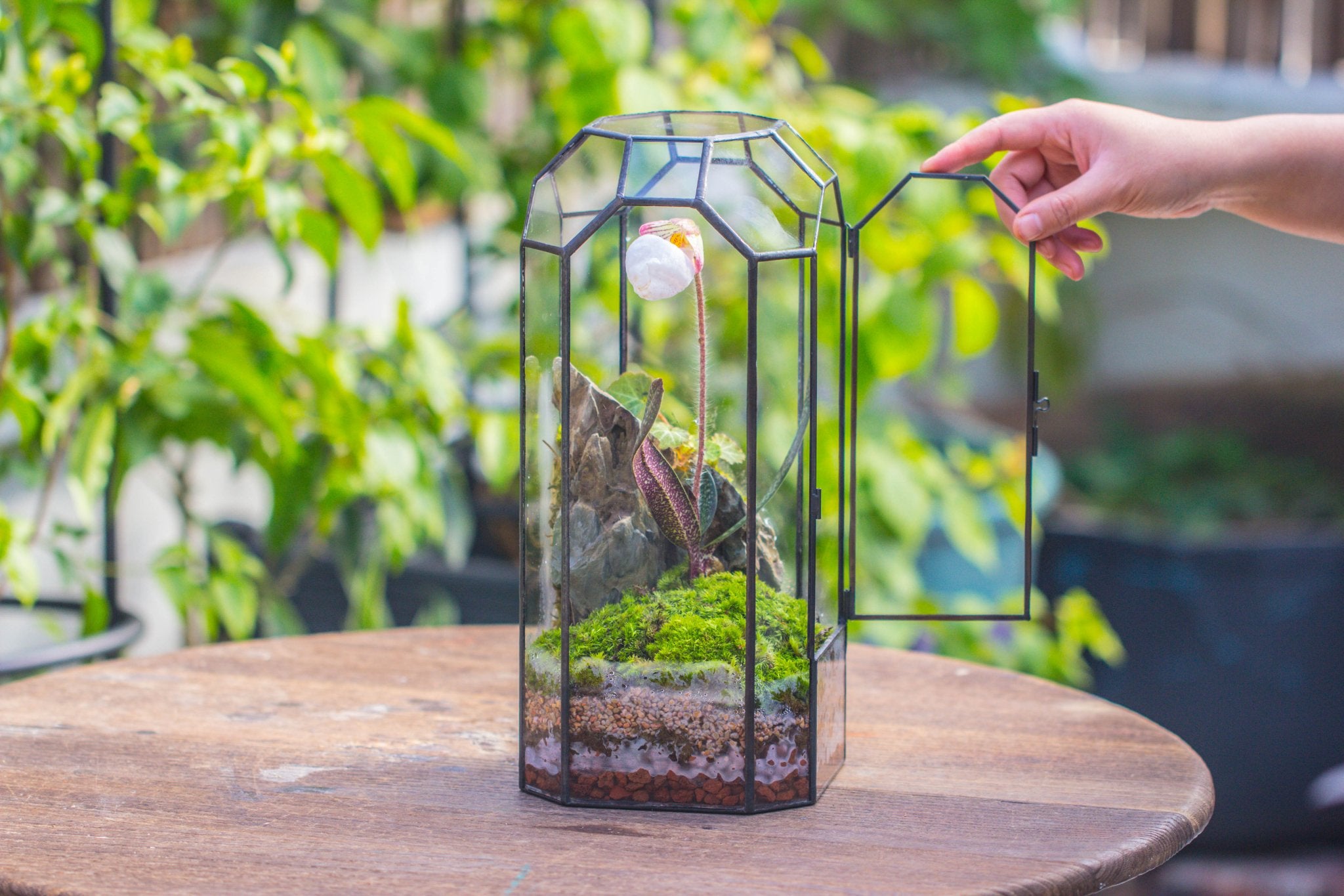 Vintage Tall Octagon Geometric Tin Glass Terrarium , 12.6" , close, suitable for tall plants, orchid, small begonia Pitcher, Micro landscape - with white light set - NCYPgarden