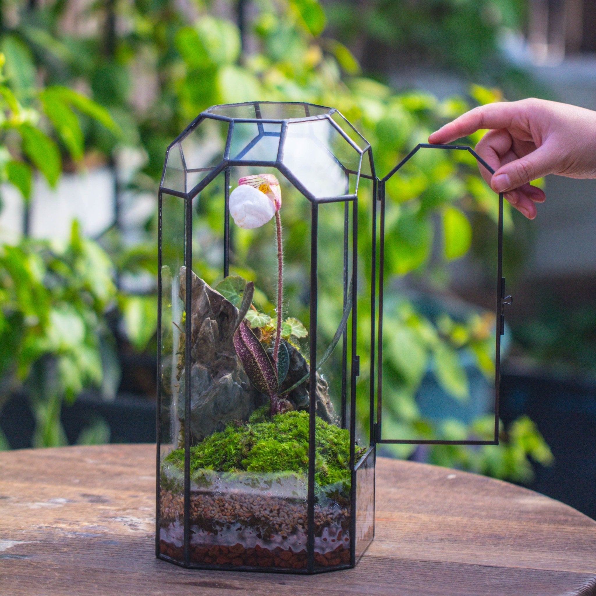 Vintage Tall Octagon Geometric Tin Glass Terrarium , 12.6" , close, suitable for tall plants, orchid, small begonia Pitcher, Micro landscape PG05B2 - NCYPgarden