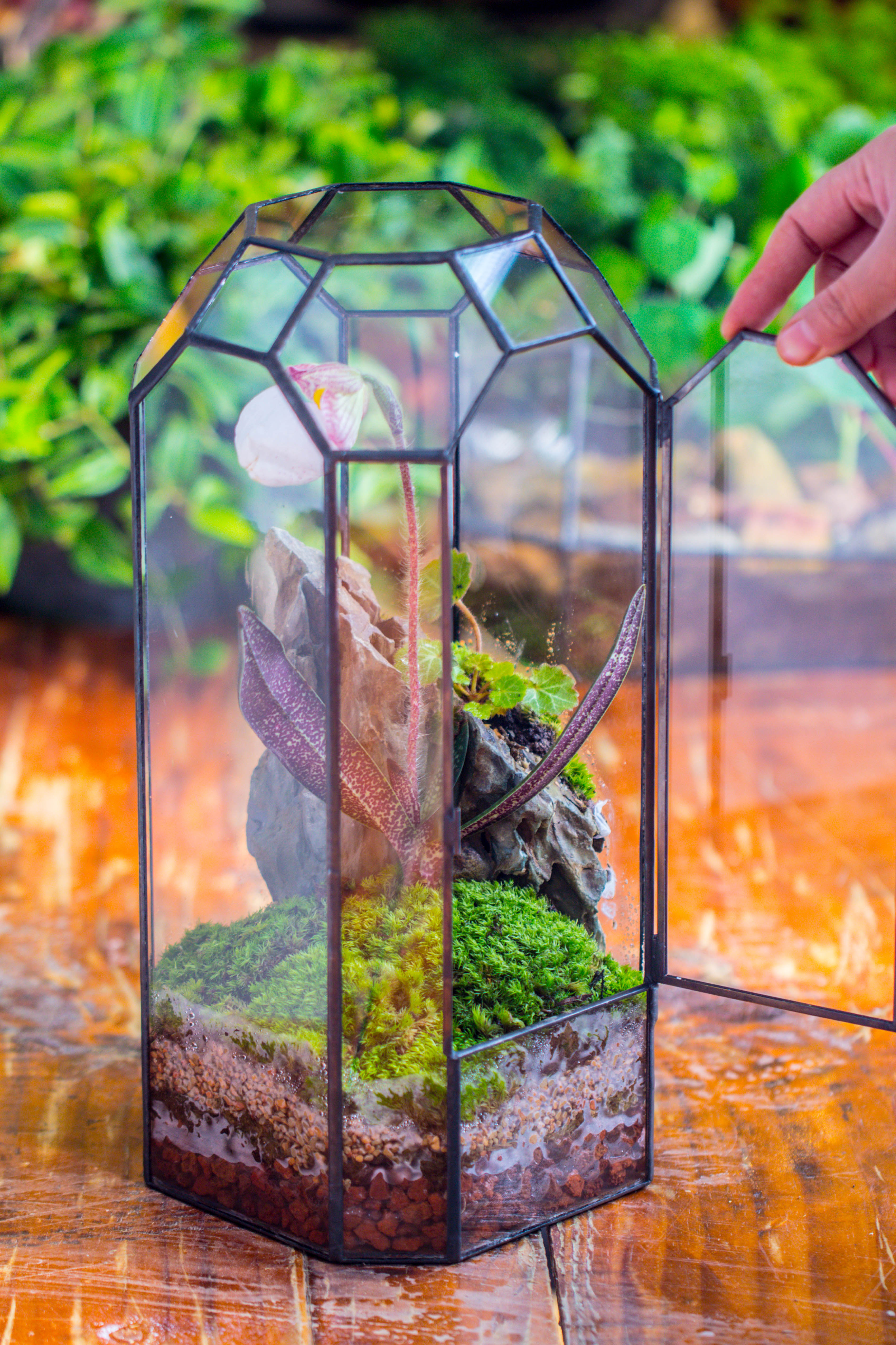 Vintage Tall Octagon Geometric Tin Glass Terrarium , 12.6" , close, suitable for tall plants, orchid, small begonia Pitcher, Micro landscape    -with warm light set - NCYPgarden
