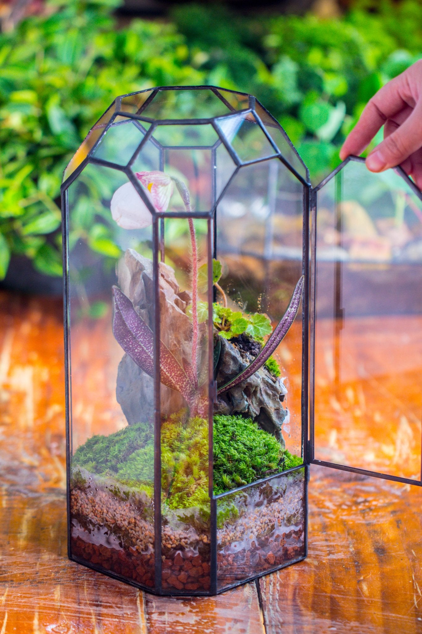 Vintage Tall Octagon Geometric Tin Glass Terrarium , 12.6" , close, suitable for tall plants, orchid, small begonia Pitcher, Micro landscape - with white light set - NCYPgarden