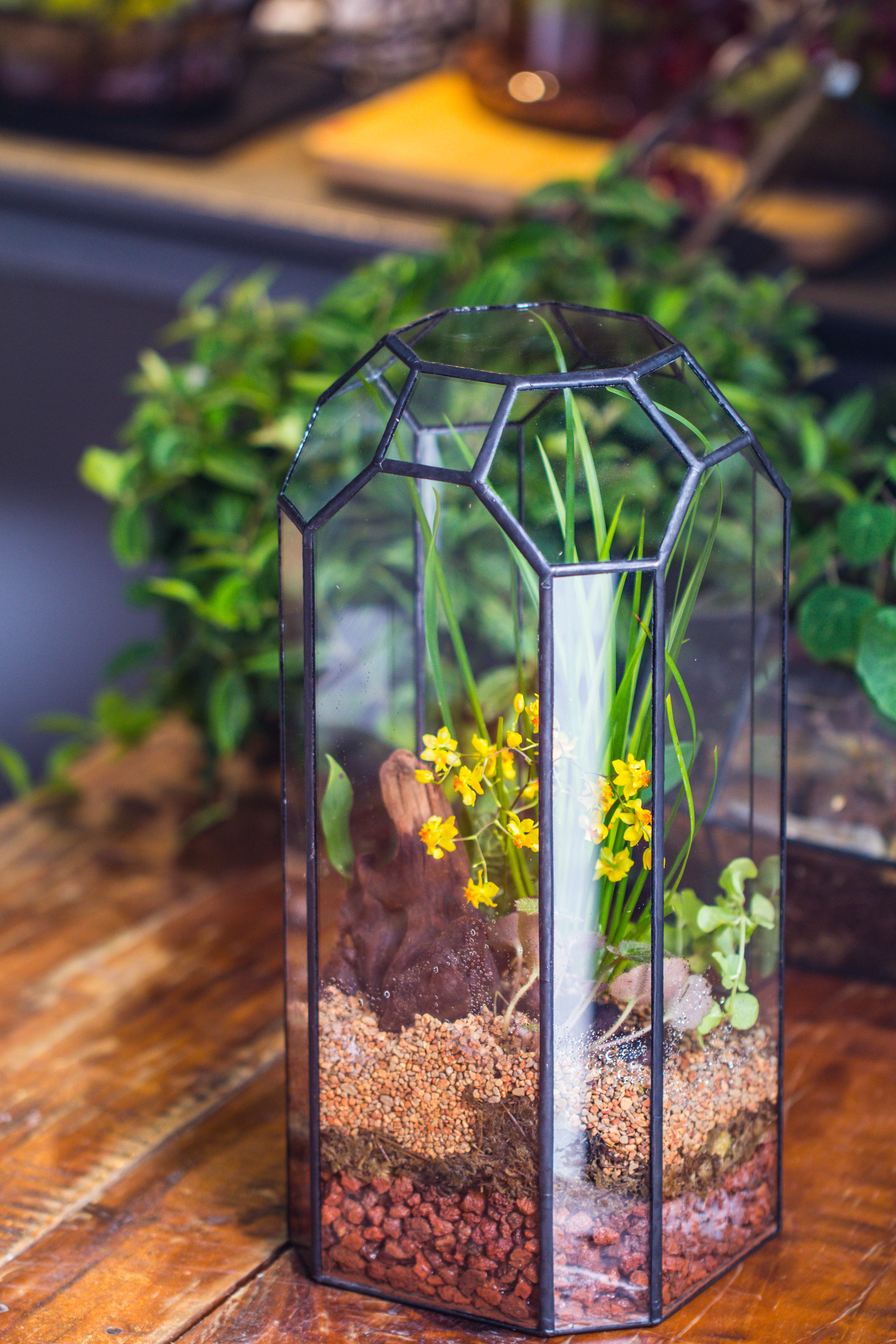 Vintage Tall Octagon Geometric Tin Glass Terrarium , 12.6" , open, suitable for tall plants, orchid, small begonia Pitcher, Micro landscape  -with white light set - NCYPgarden