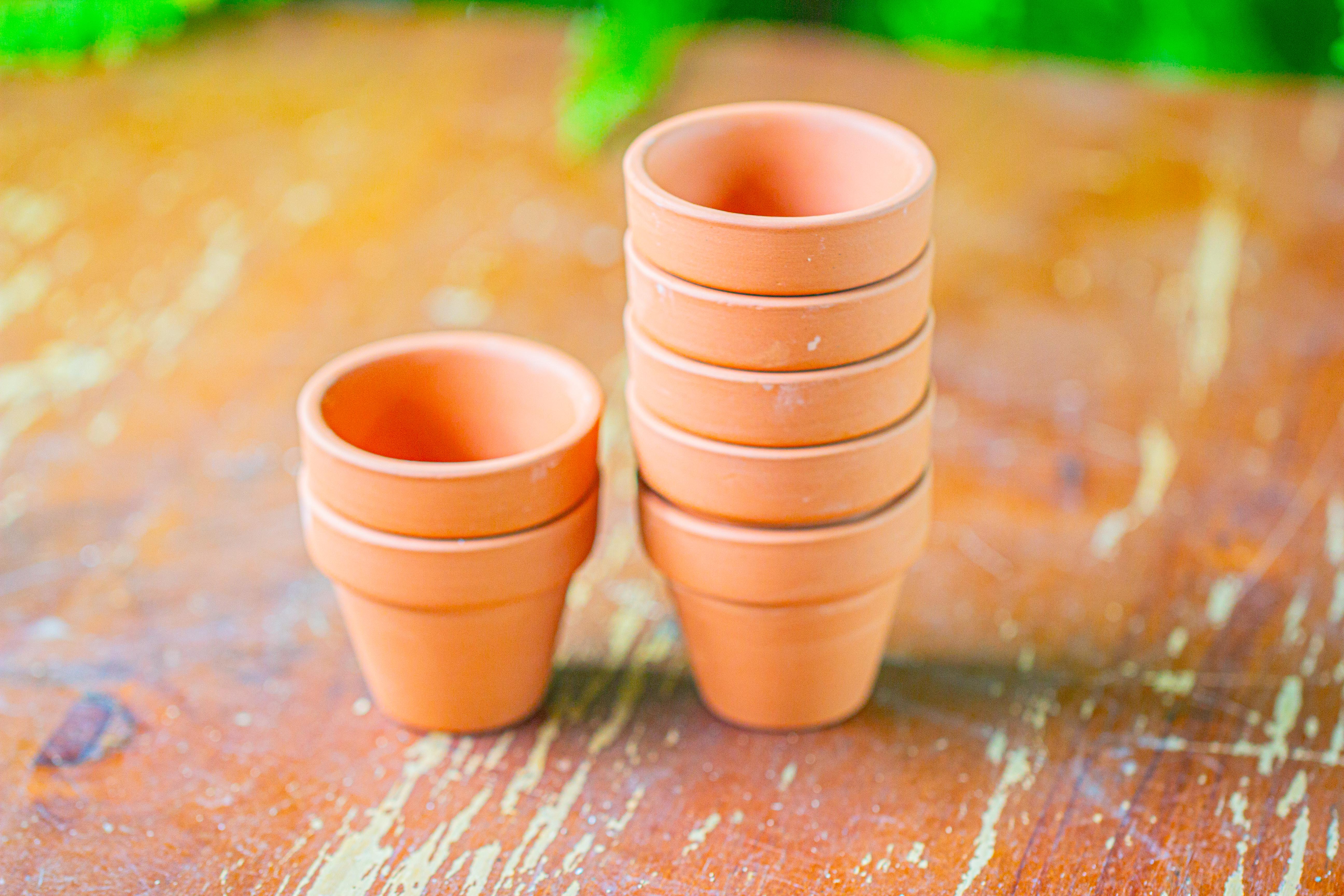 20 units Mini Red Terracotta Pot for Succulents & Moss – 4cm Height, 4.8cm Diameter - NCYPgarden