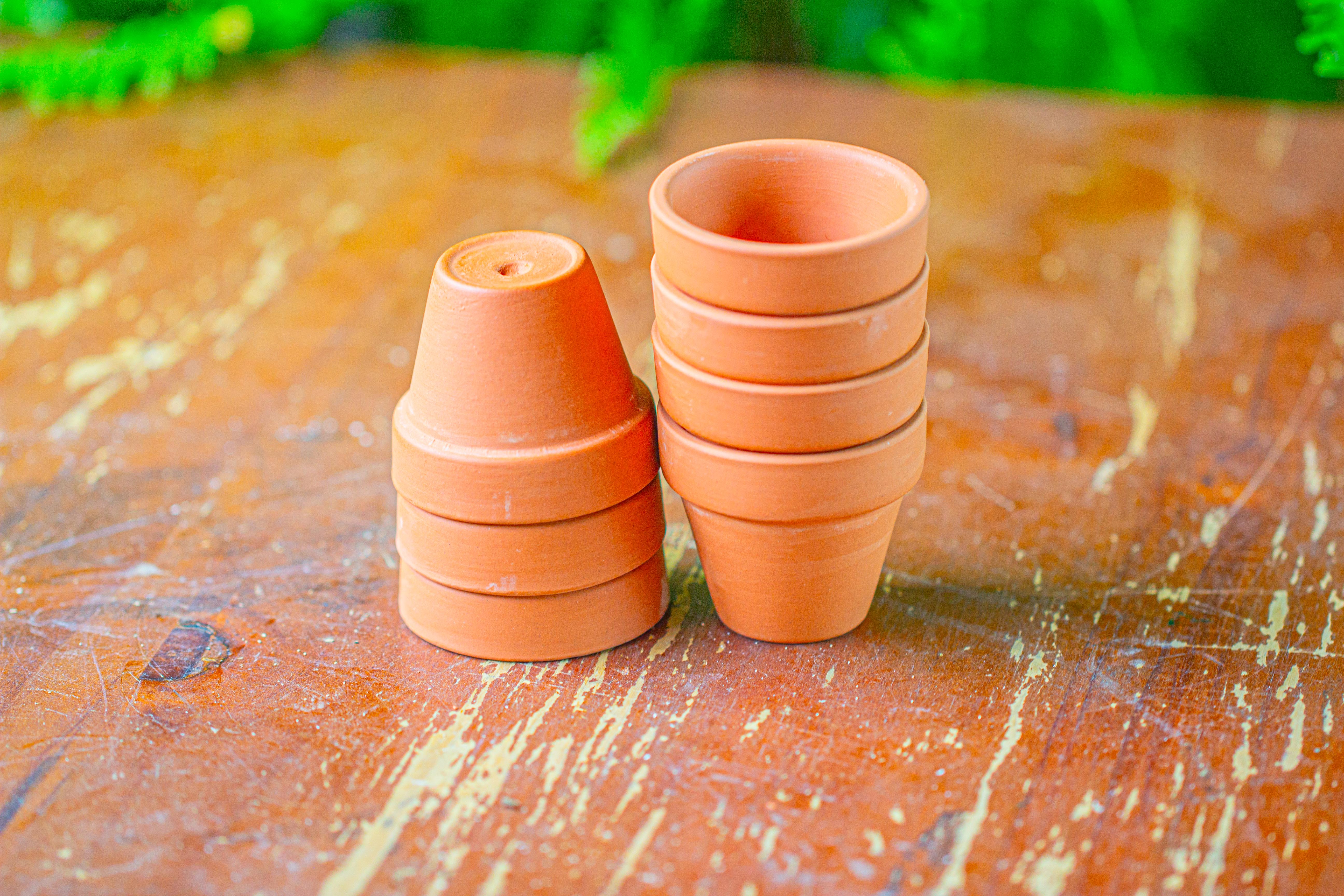 20 units Mini Red Terracotta Pot for Succulents & Moss – 4cm Height, 4.8cm Diameter - NCYPgarden