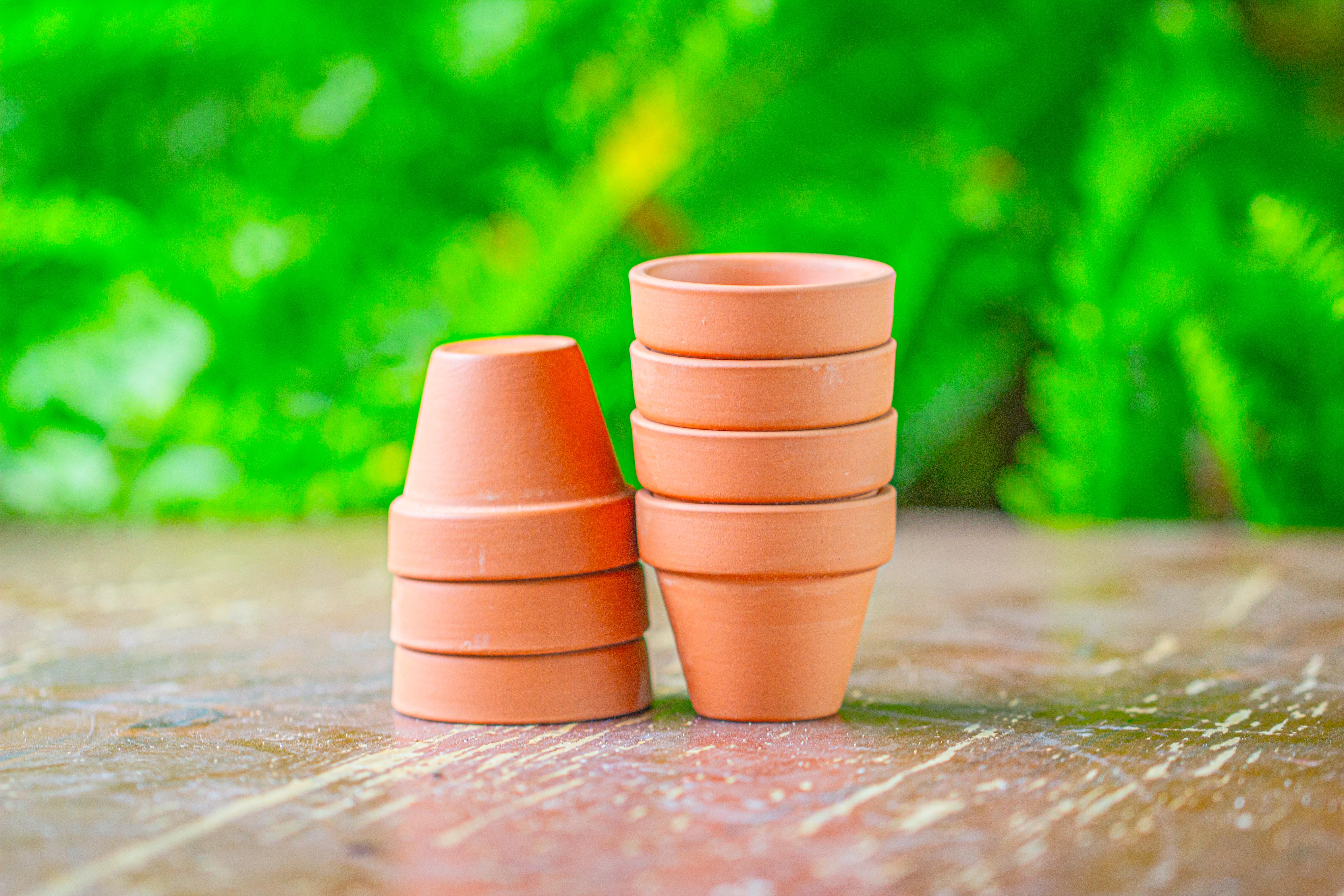 20 units Mini Red Terracotta Pot for Succulents & Moss – 4cm Height, 4.8cm Diameter - NCYPgarden