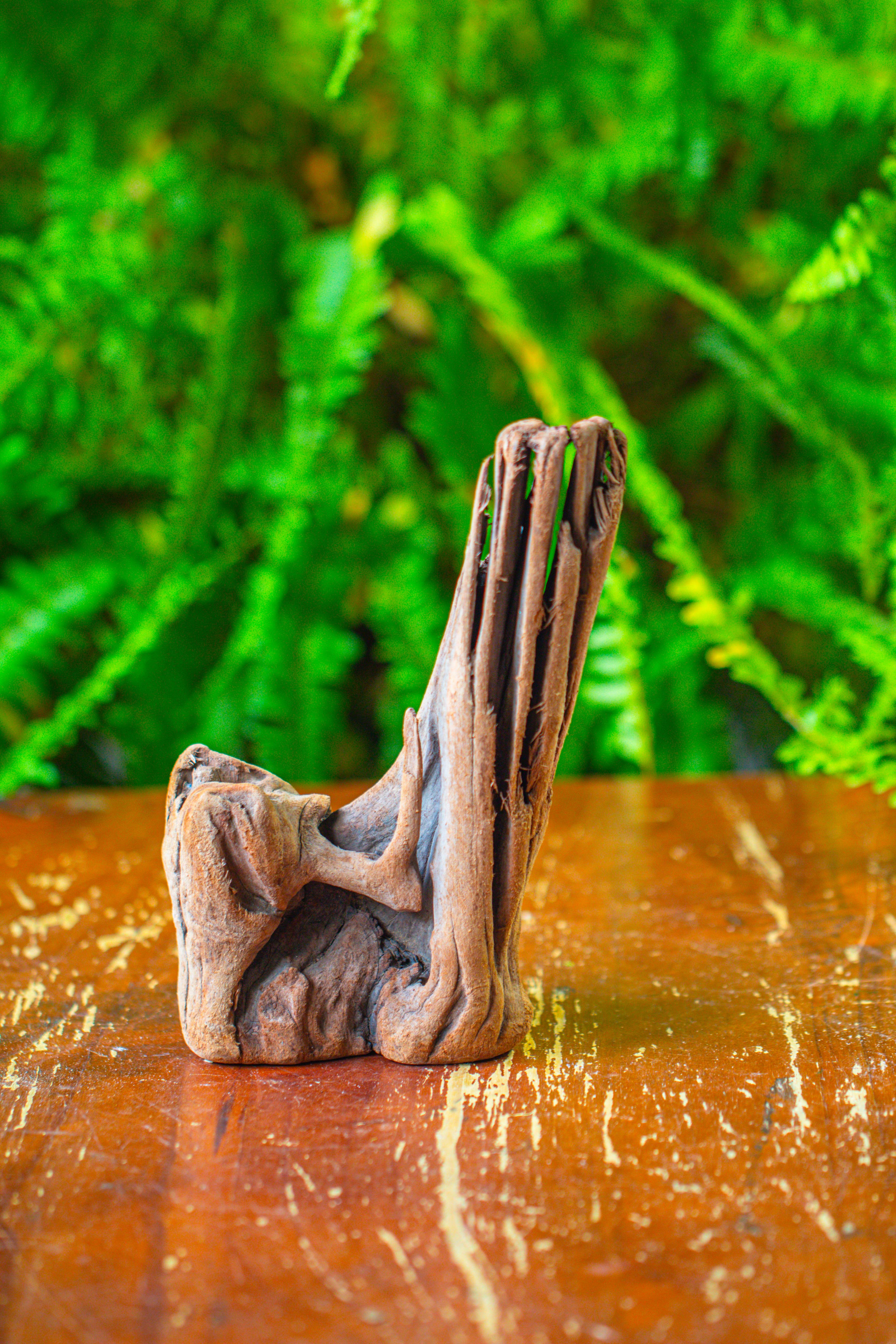 driftwood for moss terrarium, miniature, micro landscape,T8015 - NCYPgarden