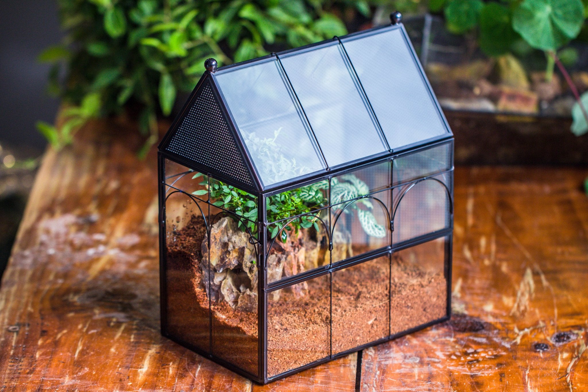 NCYP Vintage House Shape Glass Geometric Terrarium building set, with side door, with Mesh / vent holes for Insects Pet - NCYPgarden