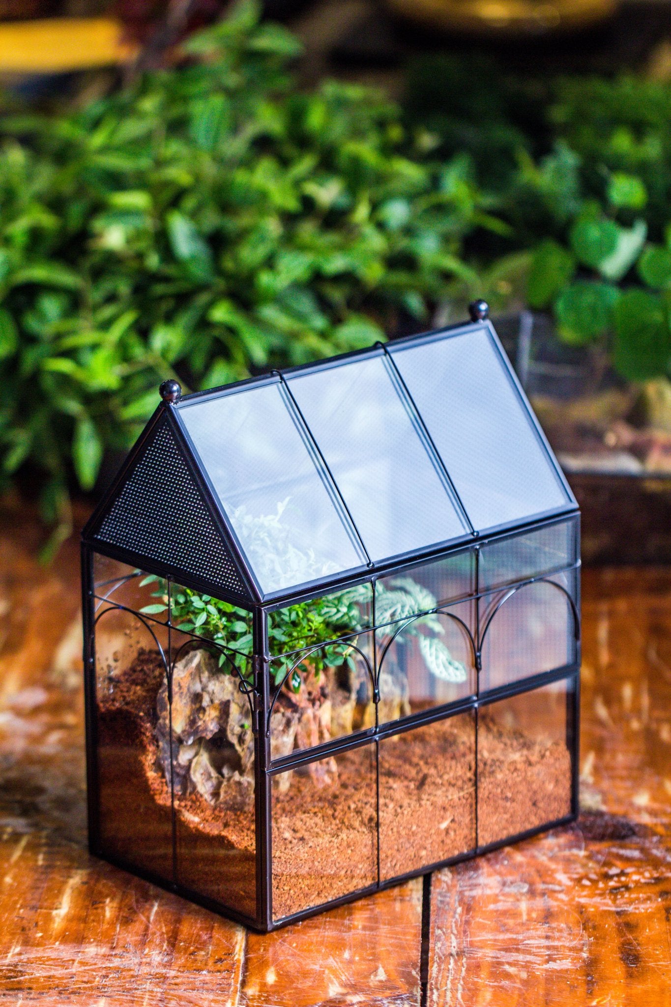 NCYP Vintage House Shape Glass Geometric Terrarium building set, with side door, with Mesh / vent holes for Insects Pet - NCYPgarden