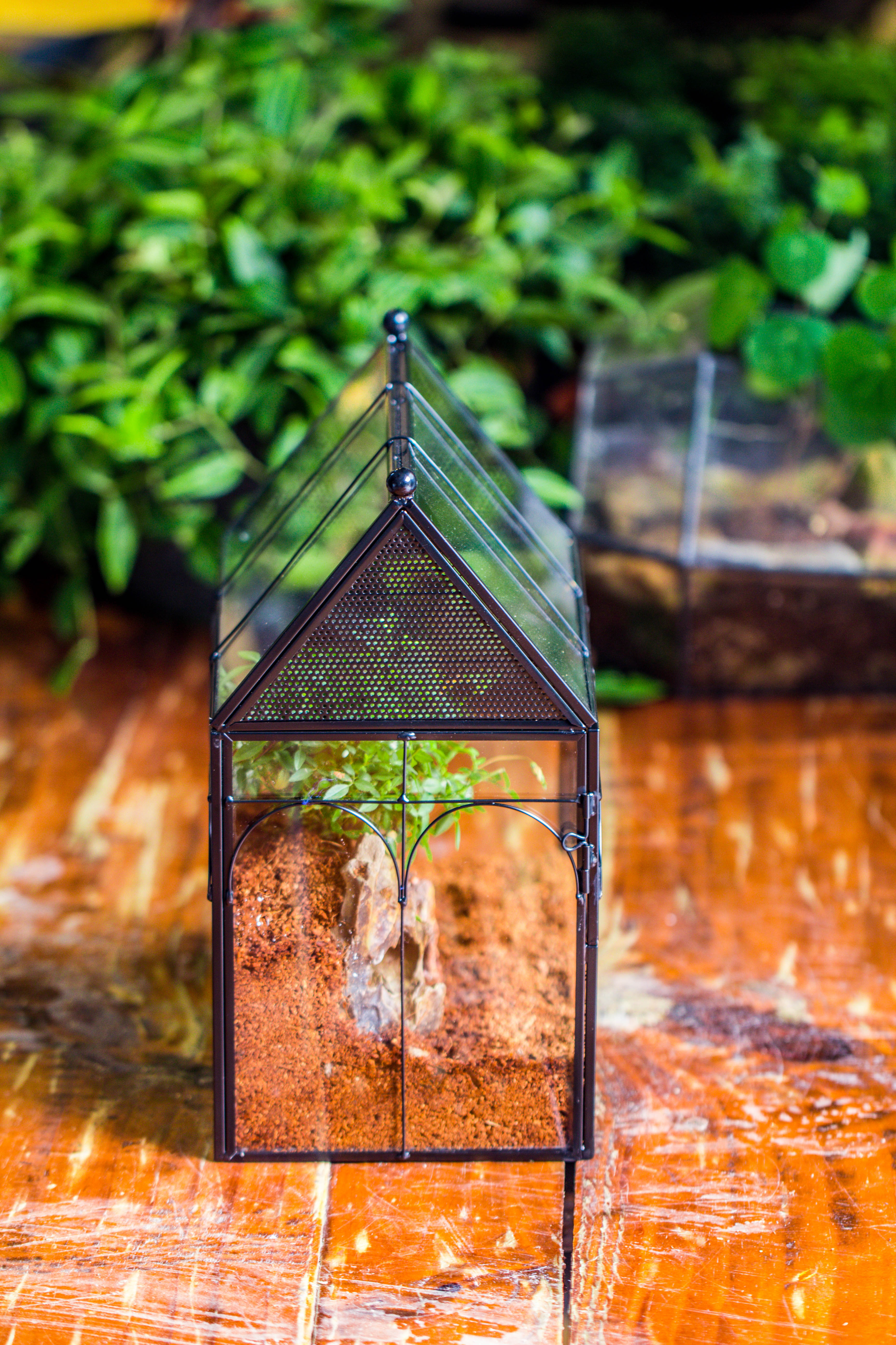 NCYP Vintage House Shape Tin and Glass Geometric Terrarium, with side door, with Mesh / vent holes for small Insects Pet - NCYPgarden
