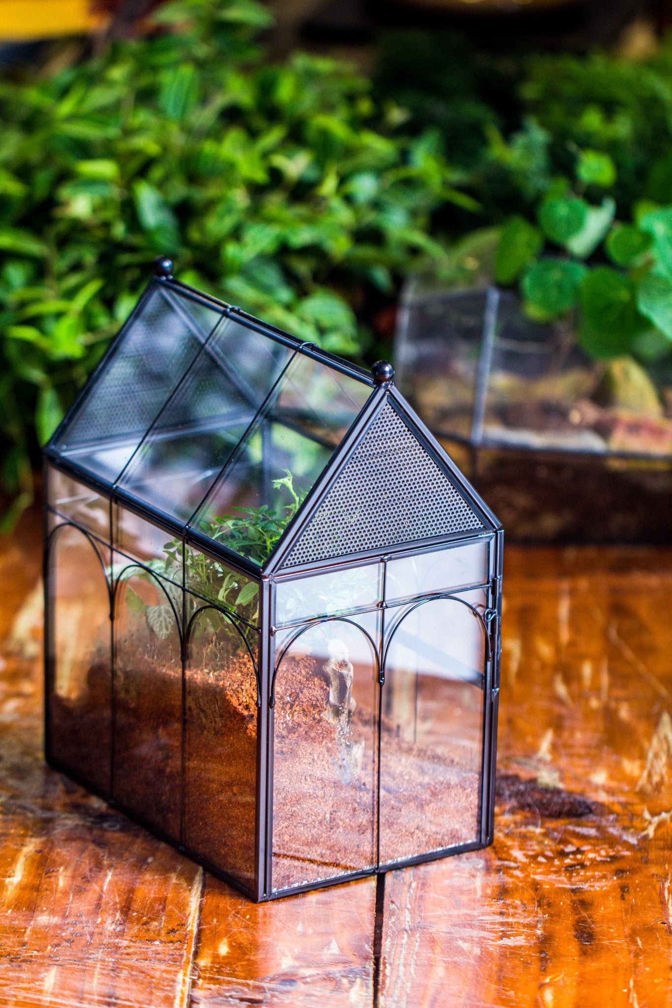 NCYP Vintage House Shape Glass Geometric Terrarium building set, with side door, with Mesh / vent holes for Insects Pet - NCYPgarden