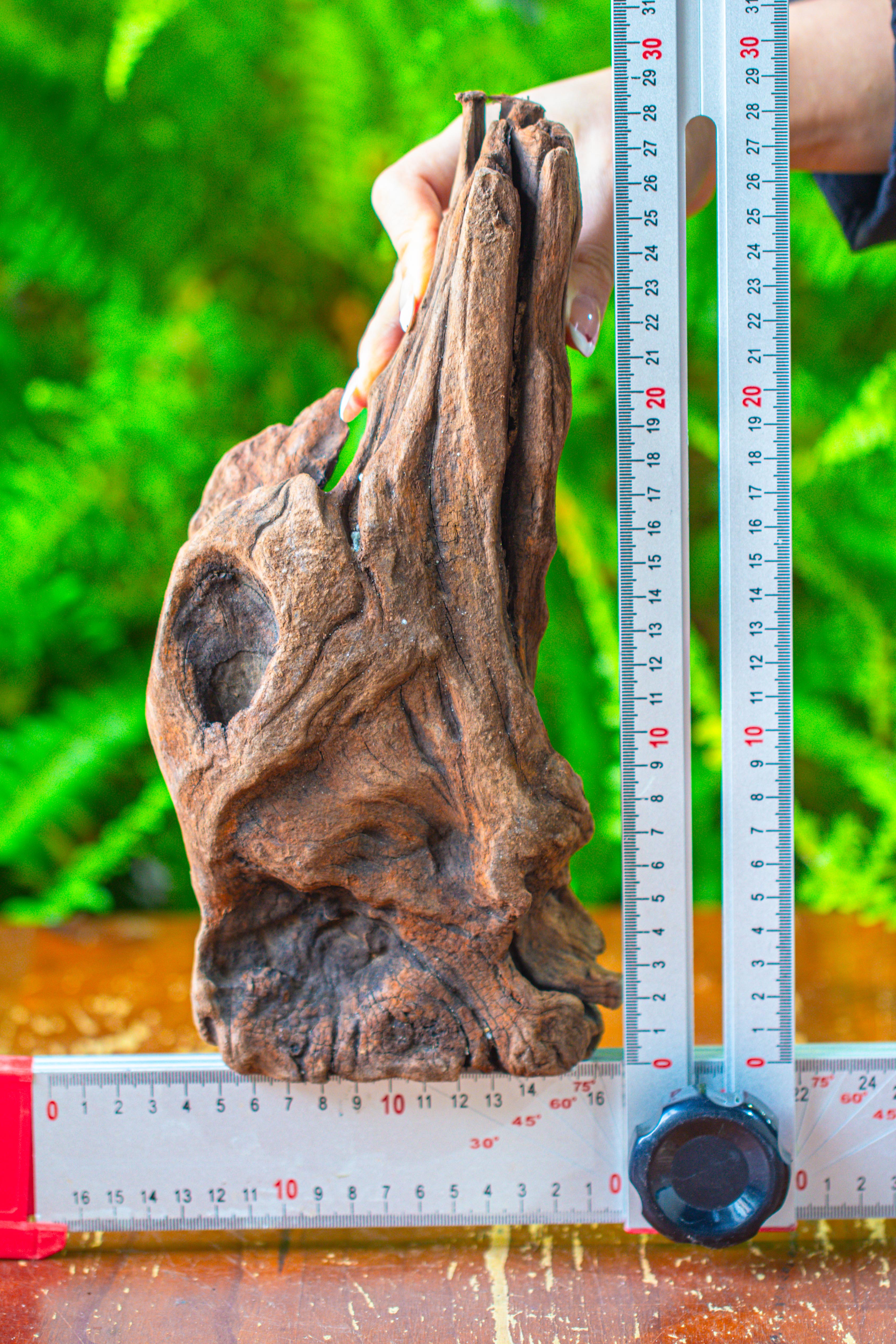 driftwood for moss terrarium, miniature, micro landscape,T8010 - NCYPgarden