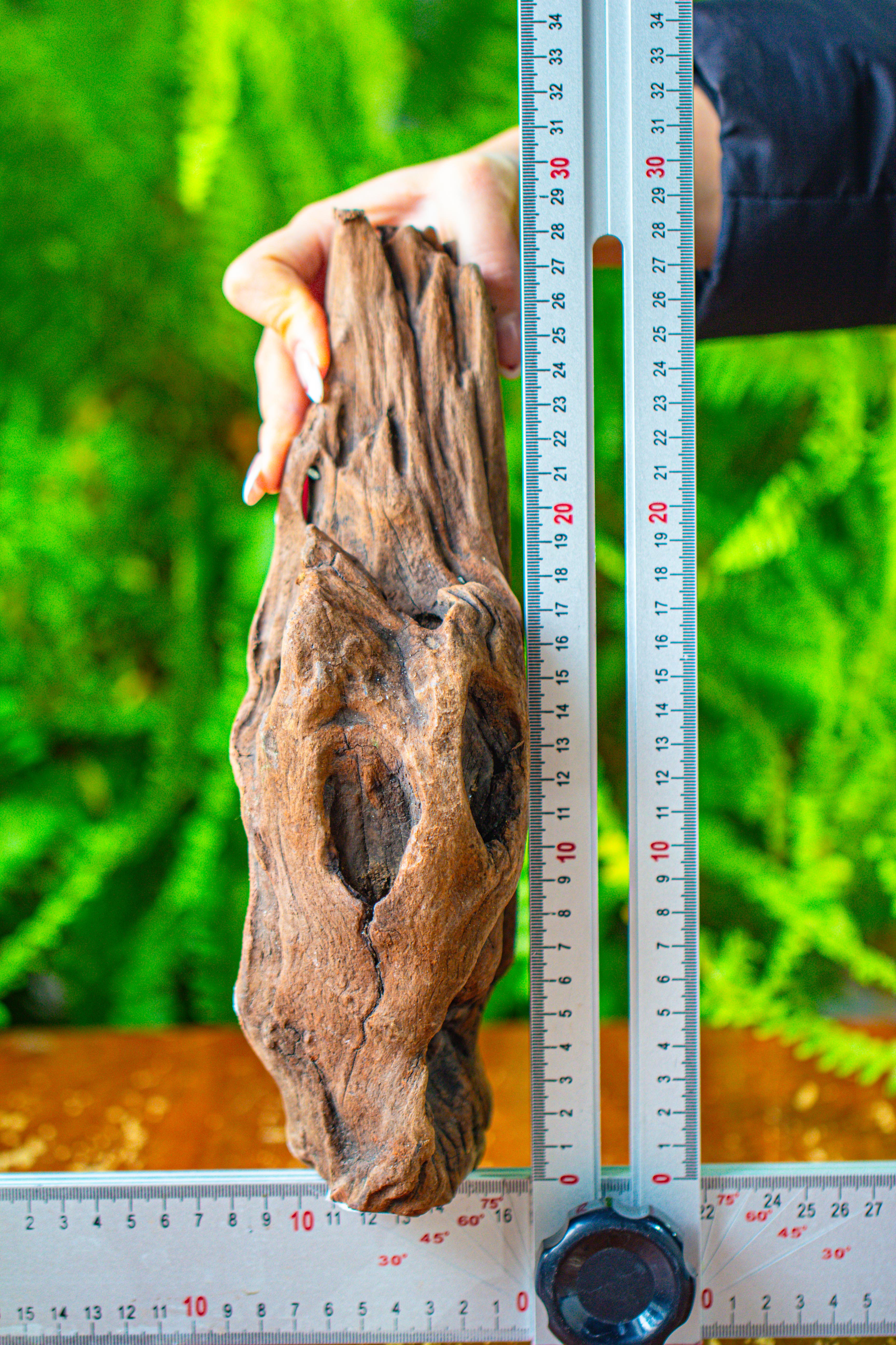 driftwood for moss terrarium, miniature, micro landscape,T8010 - NCYPgarden