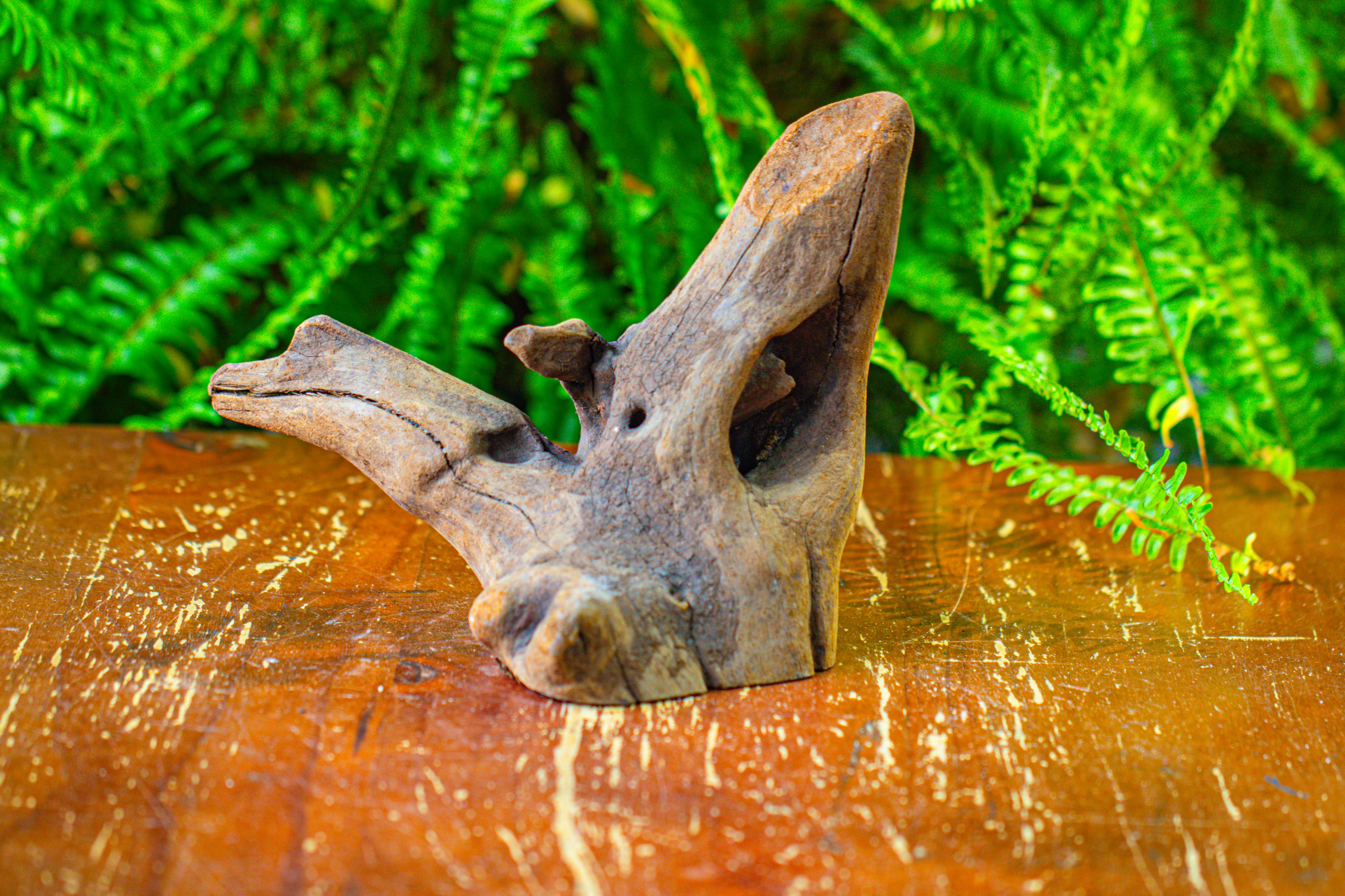 driftwood for moss terrarium, miniature, micro landscape,T8014 - NCYPgarden