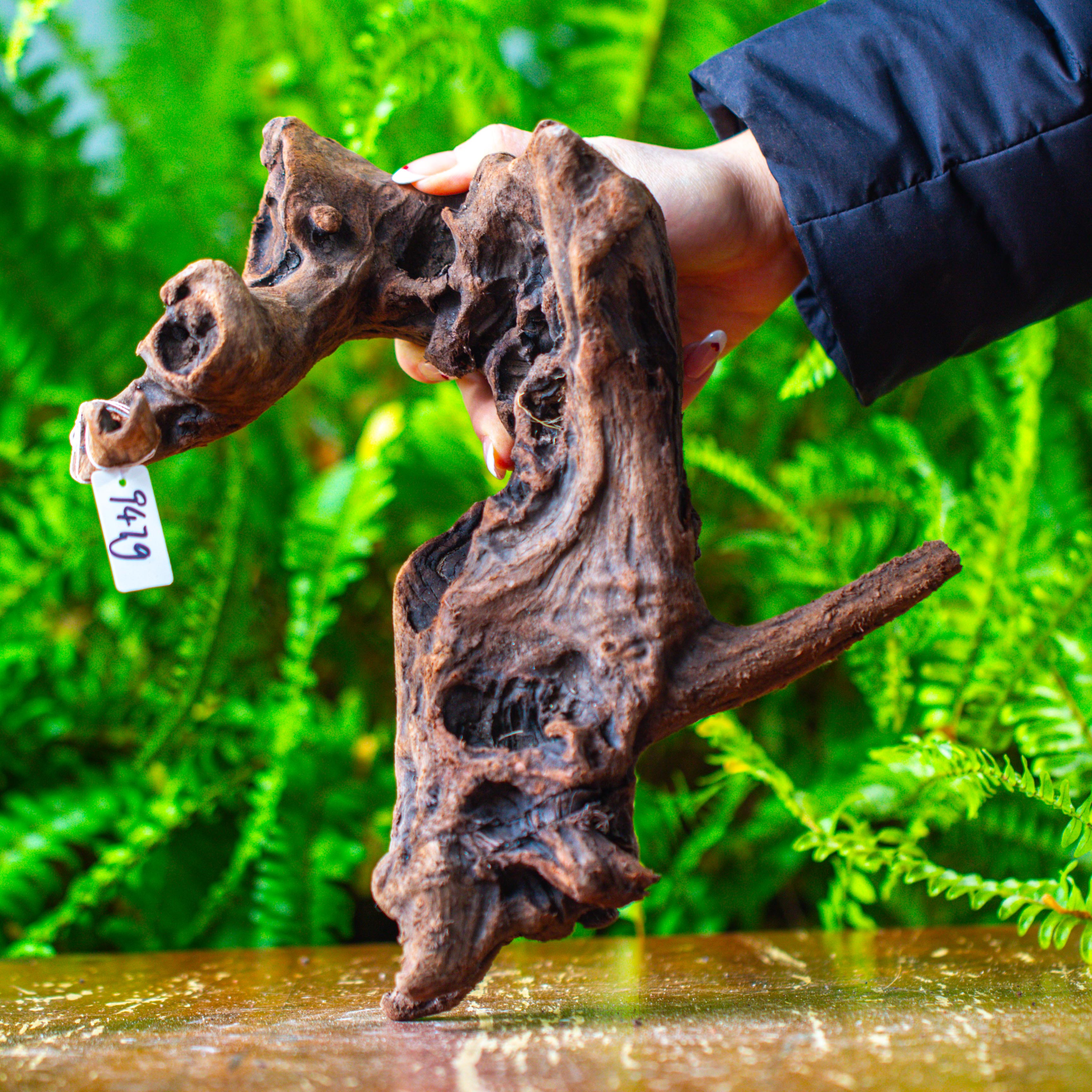 driftwood for moss terrarium, miniature, micro landscape,T8011 - NCYPgarden