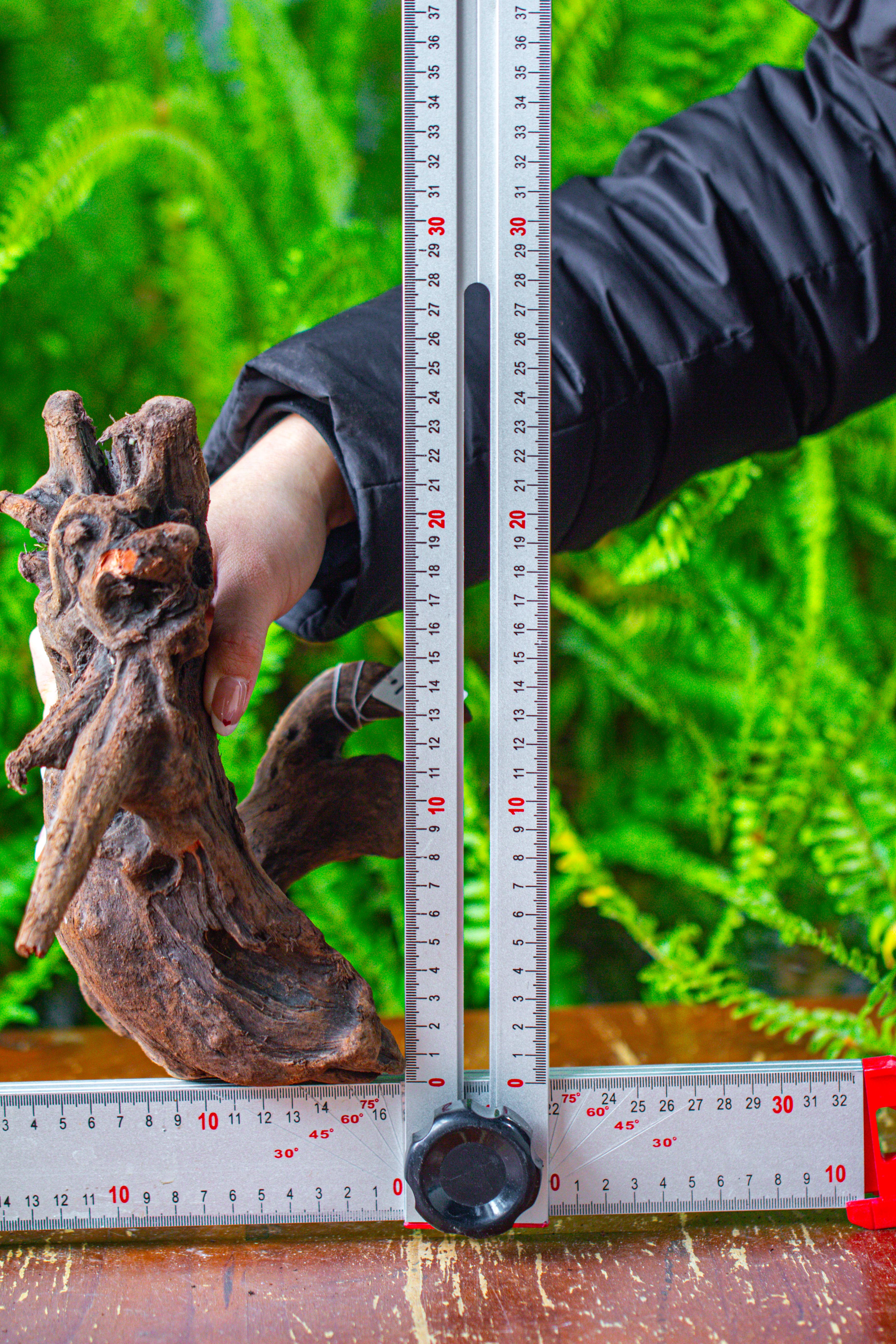 driftwood for moss terrarium, miniature, micro landscape,T8011 - NCYPgarden