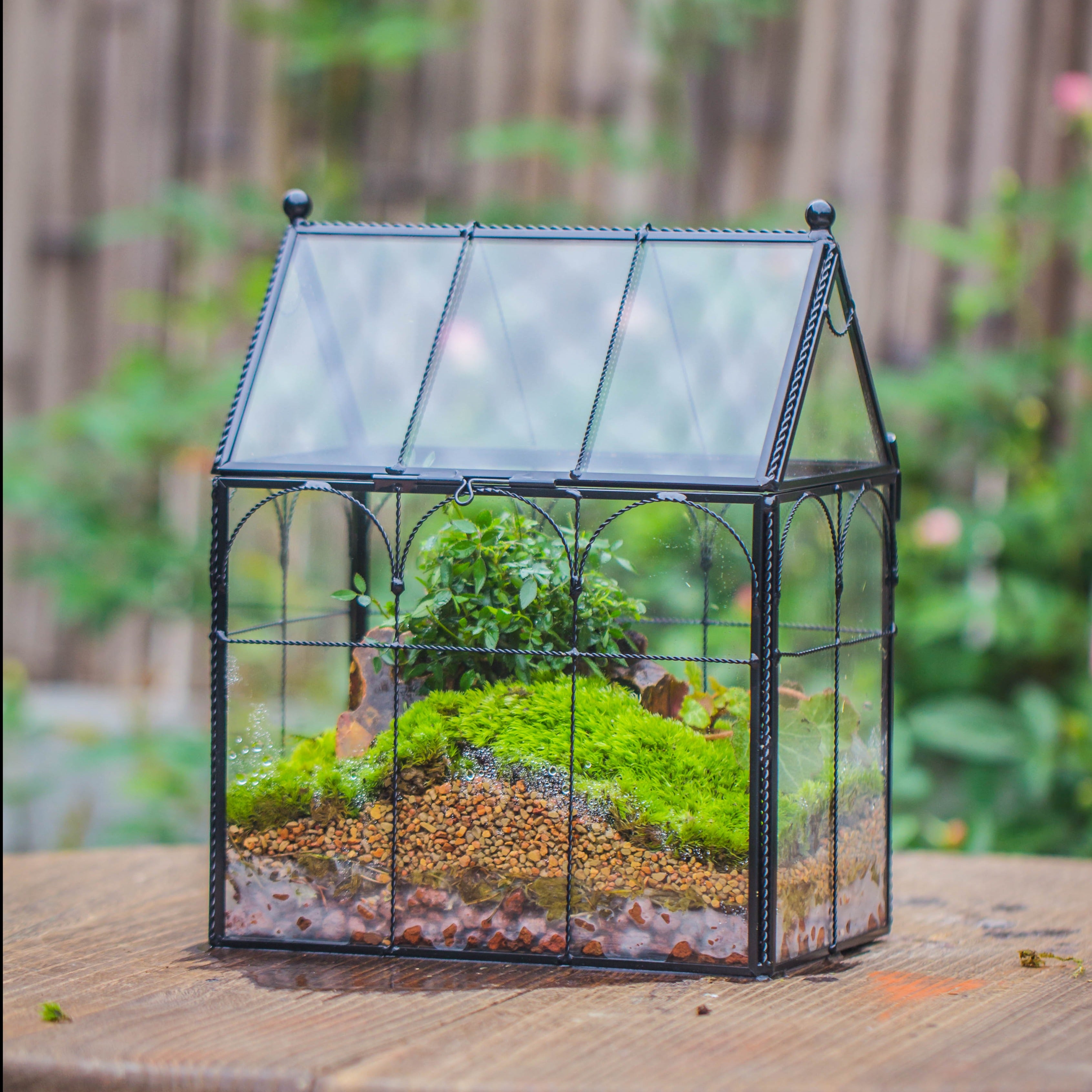 NCYP Tall Glass Geometric Terrarium Brass Twisted Brass Wire Decorated Black Vintage House Shape for Insect Snail Moss Succulents Cacti Air Plant - NCYPgarden