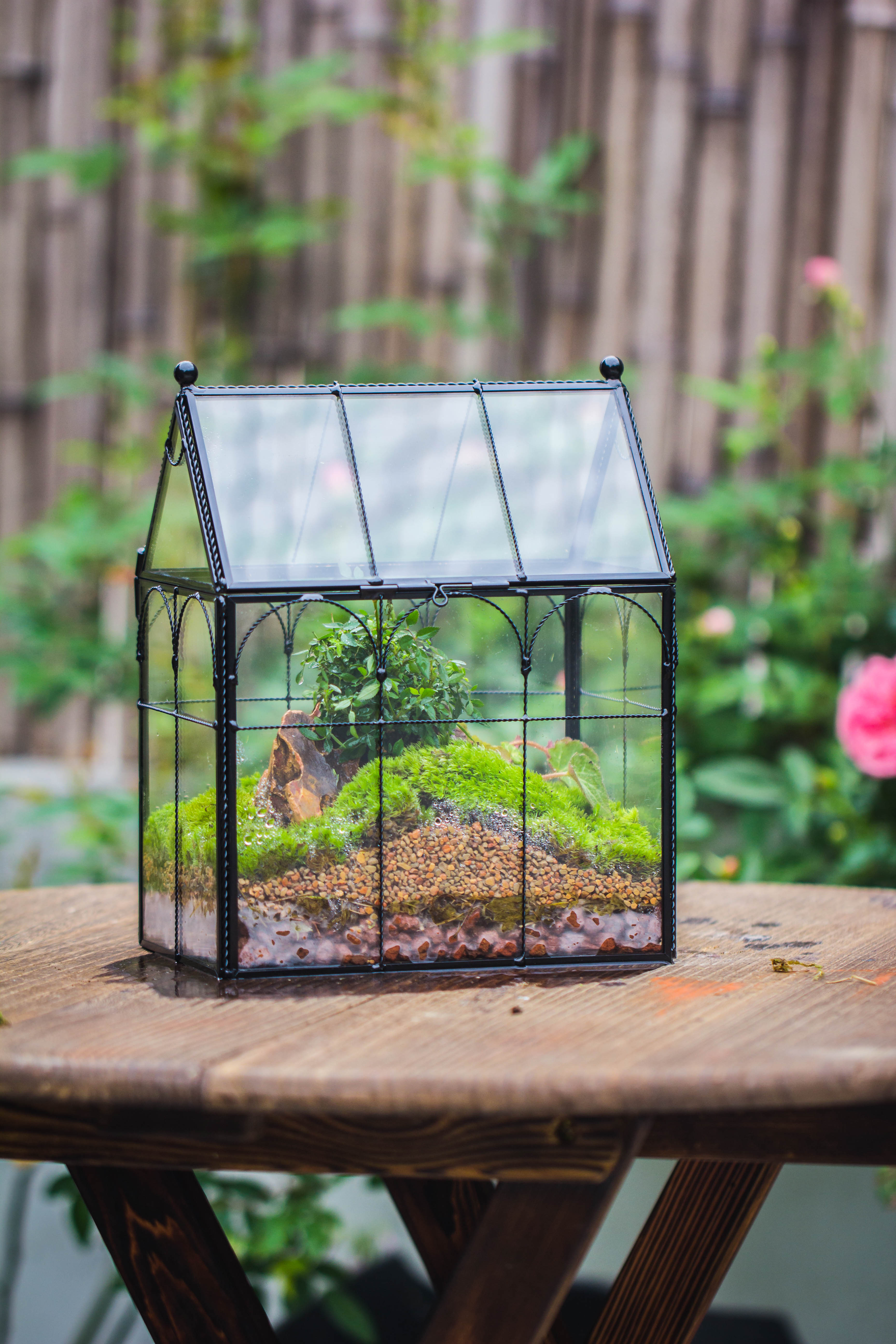 NCYP Tall Glass Geometric Terrarium Brass Twisted Brass Wire Decorated Black Vintage House Shape for Insect Snail Moss Succulents Cacti Air Plant - NCYPgarden