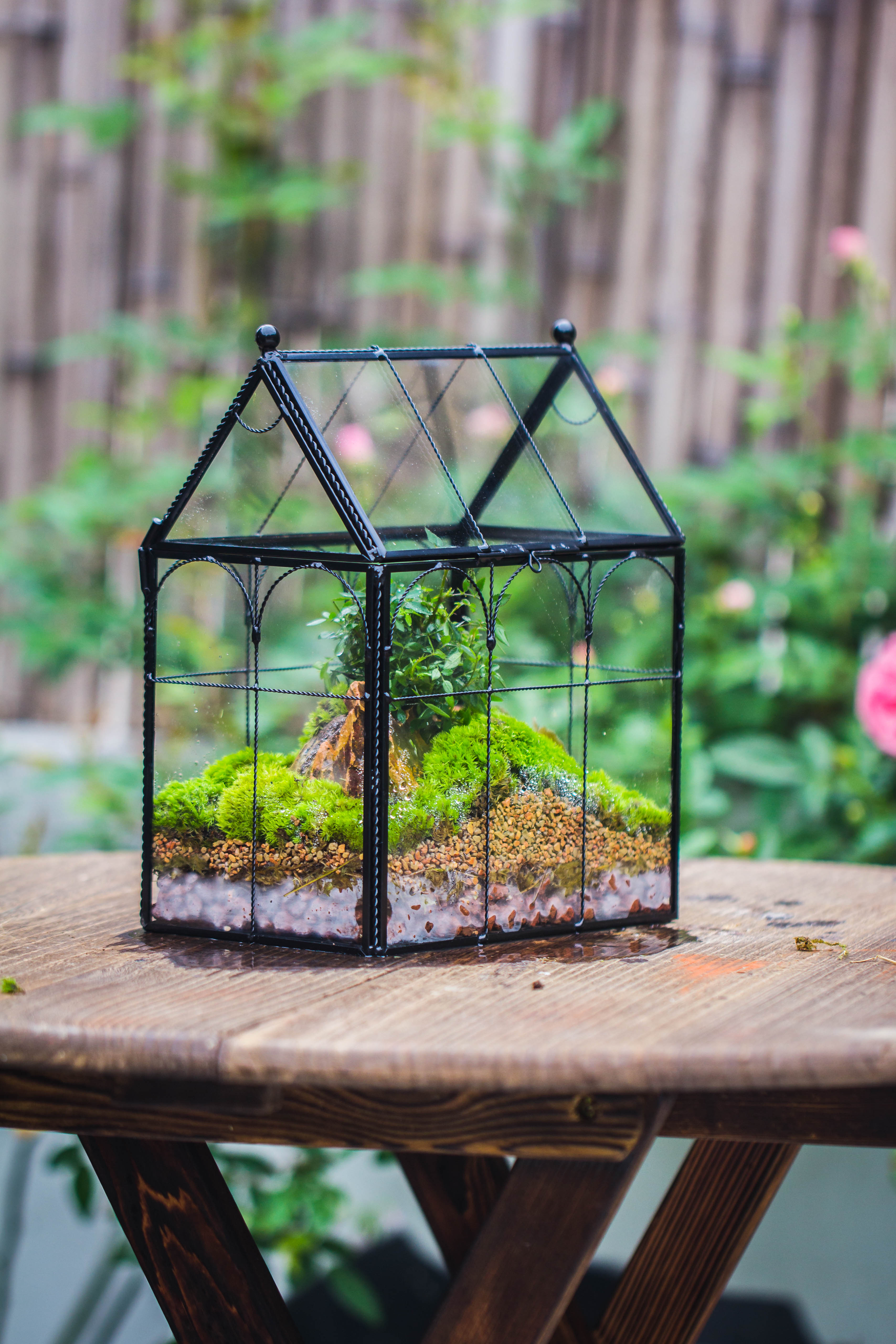 NCYP Tall Glass Geometric Terrarium Brass Twisted Brass Wire Decorated Black Vintage House Shape for Insect Snail Moss Succulents Cacti Air Plant - NCYPgarden