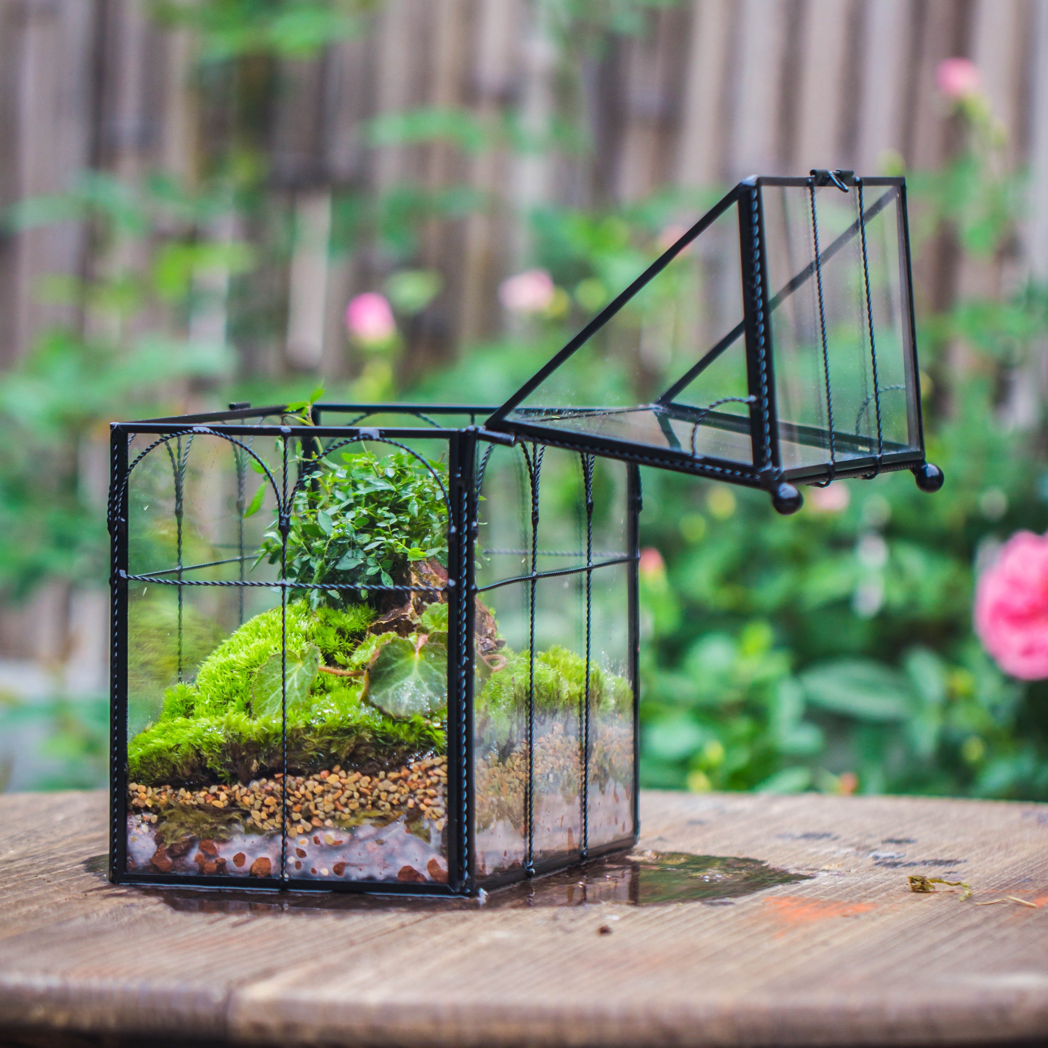 NCYP Tall Glass Geometric Terrarium Brass Twisted Brass Wire Decorated Black Vintage House Shape for Insect Snail Moss Succulents Cacti Air Plant - NCYPgarden