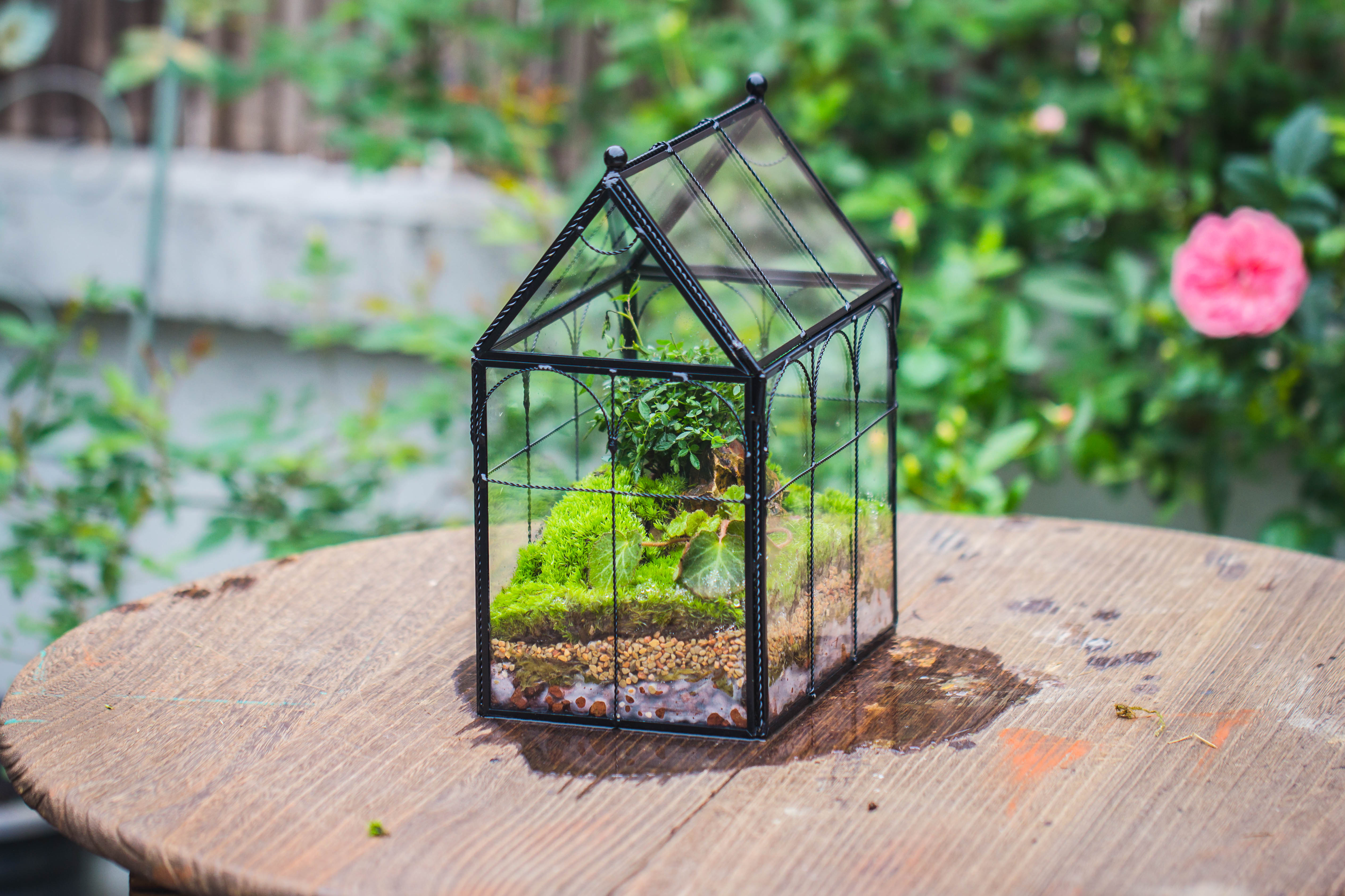 NCYP Tall Glass Geometric Terrarium Brass Twisted Brass Wire Decorated Black Vintage House Shape for Insect Snail Moss Succulents Cacti Air Plant - NCYPgarden